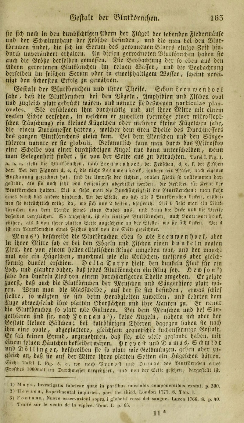163 Öcfhift f&gt;ev Q3hitFl\rndf)en. fic ft cf) nocl) in ben burcbftchtigcn 2lbern bet* gltigcl bev lebenben $lcbermäitfc unb ber Schwimmhaut bei- firöfd)C bcfuiöcu , unb btc man bet ben fBtutr Eörndien fiubet, btc fiel) tm ©erum betS geronnenen ©lutctf einige hin: bitvd) unperänbert erhalten. 21 n biefen getroefnefen Slutlörncben haben fie aud) bie @röfe bcvfclbcn genteffen. ©ic ©eobachtung ber fo eben auö ben Ülbcrn getretenen ©lutEörndjen im reinen 2Baf[er, unb bie ©eobachtung berfelben im frifdjen «Serum ober in eiweißhaltigem Sßafjfcr, fcheiitt oeret: nigt ben fieperfieu erfolg 311 gewahren. ©effalt bev SBlutf'&amp;ntdjen ttttb ihrer £()ei[e. ©efton SeetnoenljoeE fahe, baf; bie ©EutEörndjen bei ben ©ögeln, 2Inipl)ibfen unb Sifd)cn ooal unb juglcid) platt gebrüctt wären, unb nannte ficbcöwcgcn particulae plan- ovales. ©ie erfchienen ihm burd)ftd)tlg unb auf ihrer Witte mit einem ovalen £id)te perfehen, in weldjem er juweilen (oermöge einer miErofEopi: fchen ©äufchung) ein Eleiucö Äügeldjcn ober mehrere fleine ÄügeldKtt fahe, bie einen ©urchmeffcr hatten, we(d)er bem titen ©heile beö ©urcbmelferö bcö ganzen ©lutEörnchenö gleich fam. ©et bem Wenfchen unb bett ©äuge: thteren nannte er fie giobuli. ©efanntlich fann man bureb baö WtEroflop eine ©cheibe oott einer burd)ftcbtigcn Äugel nur bann unterfcheiben, wenn man Gelegenheit finbet, fte oott bet ©eite auö jtt betrachten. Tatet i. Fts. 1. a, b, c, ftcflt bie 251utf&amp;rnd)en, nad) ßee rnu en t) oef, bei 3f«&amp;fd)cn, d, e, f, bei gifdjen bar. Sei ben giguren d, e, f, bie nicht Seeu roen 1) o e?, fonbern feiniSüntcr, nad) eigener Stnfcbanung gejeidjnet Ijat, finb bie llntriffe ber tid)ten, turnten gteefe fo voKfomtnen bar, ßeftcftt, ats fie nod) jc^t oon benjenigen abgebitbet werben , bie biefefben fi'ir Äerne ber 93tntfurnd)en hatten. Sei a fiet)t tnan bie Bnrchfid)tigfeit ber 83(titfi',rnd)cn; man fleht eine» bnreh baS anbere Ijinburd). 2tn bcrStette, irr fich alte 3 Stntf&amp;rndjcn beeten, crfdjci, nen fie beträchtfid) rotf); ba, roo ftd) nur 2 beeten, btafjrott). Sei b fietjt man ein S(ut= föritehen oon bem 9?anbe feines einen CrnbeS ans, unb fann bie Siete unb bie ©reite bejfetbeu oerg(eid)en. ©o angefefjen, ift ein einjigeS Stutf&amp;rndjen, nad&gt; Seen mett t; o ef, röther, ats 3 oon itjrer platten ©eite augefehene an ber ©tefte, rup fie fid) beeten. Sei d ift ein 2Mutf&amp;vnd)en eines gifdjeS I)nfb oon ber ©eite gezeichnet. Wunä1) befdjreibt bie ©lutförndjcn eben fo wie Secnwen hoef, aber in ihrer Witte fal) er bei ben ©ögelu unb $tfd)en einen b it n E e l u ooalcu glcd, ber oon einem hellen elliptifchen fliinge umgeben war, unb ber manch: maE wie ein ^ugelchen, mand)tnal wie ein ©rübdjen, metftettä aber gleich: förmig bunfel erfduen. © e 11 a ©o r r c hielt ben bunEelu ft-tccE für ein £ocb, unb glaubte baher, baß jebet&gt; ©lutförndjen ein Oiiug fcp. © e w f o tt2) fahe ben bnnfeln ftlecl oon einem burd)ftct)tigeren ©heile umgeben, ©rjcfgte juerft, bah and) bie ©lutförneben ber Wenfchen unb ©äugethiere platt wä: reu. 2Öenn man bie ©laöfcbetbc, auf ber fte fid) beftnben, etwa*? fdnef flcllte, fo wäljten fie fiel) beim d?erabglctteii juweilen, unb feinten bem öluge abwechfelnb ihre platten Oberflächen unb ihre kanten jit. ©r nennt bie Stutförndjen fo platt wie ©uitteett. ©ei bem Wenfchen unb bet ©atu gethieren finb fie, nad) Montana3), feine Äugeln, nähern fiel) aber ber ©eftalt Eieiner ©älld)eit; bei faltblütigen ©hieven bagegen haben fie nad) ihm eine ooale, abgeplattete, gleichfam geguetfehte fuchenförmige ©cflalt. @r fal) leinen ©runb, anjunehmen, baf’ fte, wie viele geglaubt haben, mit einem feinen Jpäutdjen beElelbet wären, spreooft unb ©tima d, ©chtnibt «nb ©ö Hing er, befchreiben fte fo platt wie ©elbmünjen, geben aber jtt: gleich an, baf fte auf ber Witte ihrer platten ©eiten ein Jptigelchcit hätten. ©iehc Tafel i. Fig. 5. c, um nad) fprcoofl unb JHituaS baS Stutf&amp;rnd)en eines gri'idjeS lUOOmaf im Surehnieffer oergroßert, unb ppu ber ©eite gefetjen, bargcflcttt i|T. 1) Muys, Invcstigatio fabricac qnae in partibus nmseiilos compnncntibiis exsfat. p. 300. 2) Itetvson, Experimental inqnirics. part tbe (liird. London 1777. 8. Tab. I. 3) I ontana, Nuove osserva/.ioni sopra i gtobetti rossi del sangue. Lucca 1706. 8. p. 40. Traite sur le venin de la vipere. Tom. I. p. 65.