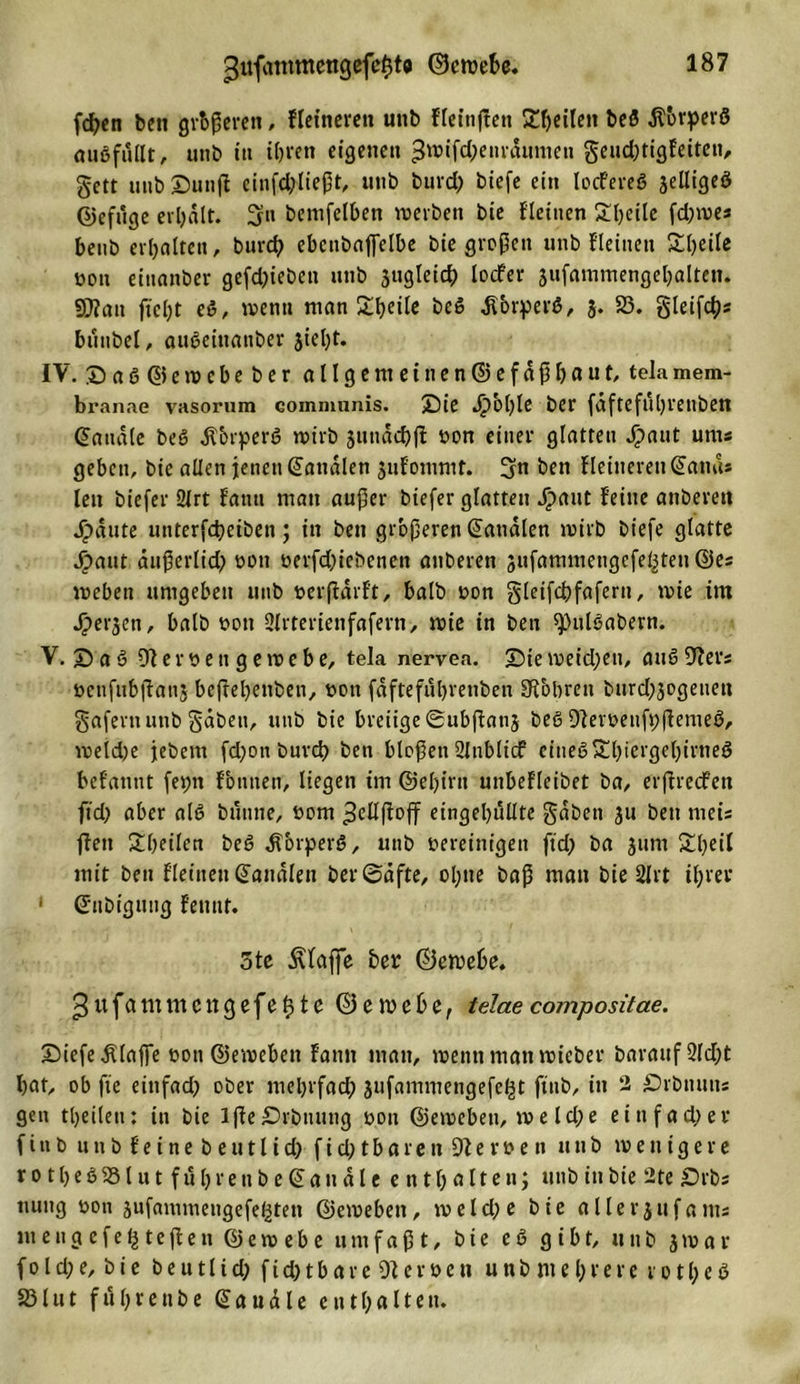 fdjcn beit gr&amp;ßeren, Heineren unb Heinjten Steilen beö -ftorperß außfüllt, unb itt itjren eigenen 3nuf$eiirüiimen geud)tig{eiten, gett unb©unß einfd)ließt, unb burd) biefe ein locf'ereß jelligeö ©efüge erhalt. 3» bemfelben werben bie {'leinen ^Ijeile fd)wes benb erhalten, burcb ebcnbaffelbe bie großen unb Heineti Steile oott einanber gefd)iebett unb 3ugleicb locfer 3ufammengebalten. 9}?att ftel)t eß, wenn man Steile beß dTorperß, 3. 23. gleifch* bünbel, außeittanber 3iel)t. IV. ©aß©ewebeberallgemeinen@efdßbaut/ telamem- branae vasornm commnnis. ©ie Jjpohle ber fdftefltbrenben (handle beß Äbtperß wirb 3iitidd)ß oon einer glatten J£&gt;ant um« geben, bie allen jenen banalen 3ufommt. 3« ben Heineren Sand« len biefer 2Jrt fatm man außer biefer glatten Jpant {eine anberen Jipdute unterfcbeiben; in ben größeren banalen wirb biefe glatte Jipaut außerlid) oon oerfdjicbenen anberen sufammengcfeljten @e« weben umgeben unb oerflarft, halb oon gleifcbfafertt, wie im Ji?er3en, halb oon 2lrterienfafern, wie in ben ^)ulßabern. V. © a ß 91 e r 0 e n g e w e b e, tela nervea. ©ie weid;en, auß öfters ocnfnbjtans beßebettben, oon fdftefübrenben Sibbren burd)3ogenett gafern unb gaben, utib bie breiige ©ubßans beß 9{eroenft;ßemeß, weld)e jebem fd)on burd) ben bloßen 2Jnblicf eineßSl)iergel)irneß belannt fei;n fbnnen, liegen im ©ebirtt unbefleibet ba, erßrecfen fid) aber alß bünne, 00m eingebullte gaben 311 ben meis ßett £beilett beß dTorperß, unb bereinigen ftd) ba 311m 2beil mit ben {'leinen ©analen ber©dfte, ol;ne baß man bie 2lrt ihrer ‘ ©tibtgitiig {enut. 5te Pfaffe ber ©ewe6e. 3 u f a nun c n gefegte © e w e b e, telae compositae. ©iefe dUafie oon ©ewebett {antt man, wenn man wicber barauf2ld;t bat, ob fte ein fad? ober mebrfad) 3ufammengefe^t ftttb, in 2 ©rbnuits gen tbeilen: in bie lße©rbtuing oon ©ewebett, me ld;e einfacher f i n b unb {'eine b e u 11 i cb f i d) t b a r e n 91 e r 0 e n unb wenigere r 01 b e ß231 u t führen behandle e n t b a11 e n; unb in bte 2te ©rb; nung oon sufammengefe^ten ©ewebett, weld;e bie allerjufants mengefetjteßen ©ewebe umfaßt, bte eß gibt, unb 3war fold;e, bie beutlid; fid)tbare Heroen unb mehrere rotl;eß 23lut fübrettbe ©audle enthalte«-