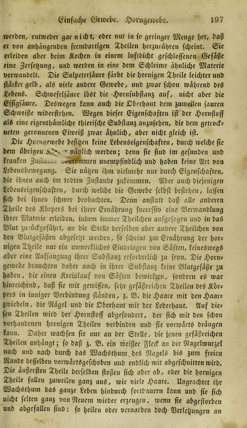 werben, entweber gar n i d) t, ober nur tu fo geringer Vfettge l)er, baß er twtt anbangenbeu frembartigen £beilcn bet'3 uni breit fd)eiut. ©ie erlciben aber beim dfod)ett tu einem luftbid)t gefd)loffeneu ©efdße eine ^rrfe^uug, unb. werben in eine bent ©d)leime äfmlid;e Materie »erroanbelt. Sie ©alpeterfdure färbt bie hornigen übeile leidster unb fidrfer gelb, als oiele anbere ©ewebe, uttb 3war fd)on wdbrenb beß £ebenß. ©d)wefelfdure Iböt bie J^orufubftanj auf, nid)t aber bie (Efftgfdure. Seßwegen fantt and) bie überbaut bem juweileit fauren ©d)weiße wiberßeben. ÜBegett btefer (Eigenfd)aften ift ber Jüwrnßoff alß eine etgeittbumltd)e tbierifd;e ©ubftanj at^ufebeit, bie bem getroefs tiefen geronnenen (Eiweiß 3war dbulid), aber nid;t gleid) iß. Sic Jpornaewebe beftöen feine Jebenßeigeitfcbaften, bttrd) weld)e jtc bem übrigen v mi^lid) werben; bemt fte ftub im gefunbeu unb fraufcti . ^atwommen uuempßttblid) uttb haben feine 2lrt boti Sebenßbeweguug. ©ie nußen ibm melmebr nur bttrd) (Eigenfd)aften, bie ihnen aud) im tobten ^ußanbe juf'ommen. 2lber and; biejentgen £ebetißefgenfd)aften, bttrd) we(d)e bie ©ewebc felbß befiebeit, laffett ftd) bet ihnen fd)wer beobachten. Senn anßatt baß ade auberen Übeile beß dlbrperß bei ihrer (Ernährung fucceffth eine Vermanblutig ihrer SDfaterie erlcibett, iubem immer Ül)eild)en aufgefogen unb in baß 33lut 31teuefgeführt, an bie ©teile berfelbett aber anbere übeild)en eott beit Blutgefäßen abgefeimt werben, fo fd)eint jur (Ernährung ber hör; itigeu Üfyeile nur ein umnerflid)eß (Einbringen oott ©dften, f'eiueßwegß aber eine Sluffaugung ihrer ©ubftanj erforberlid) 31t feint. Sie Morris gewebe brandeten baber aud; in ihrer ©ubßanj feine Blutgefäße ju haben, bie einen dfrejßlauf oott ©dften bewirf teil, fottbertt eß war binreidjenb, baß fte mit gewijfett, fel;r gefdßreid)en Übetlett beß $brs perß in inniger Verbittbimg ßättben, 5. 23. bie Jpaare mit bett Jjitaars jwiebeltt, bie üidgel uttb bie Sberbaut mit ber überbaut. 2Iuf bies fett Übetlen wirb ber jpornßojf abgefoubert, ber ftd) mit ben fd)ott üorbanbetten hornigen Übeilen öerbinbett unb fte oormdrtß brdugett fanit. Saber wad)fen fte nur an ber ©teile, bie jenett gefdßreid;en ^heilen anbangt; fo baß 3. 23. ein weißer glecf au ber 9?agclmur3el ttad; uttb ttad) bttrdb baß 2ßad)ßtbum. beß Vageiß biß 3um freien Sfianbe bejfelben t&gt;orwdrtßgefd)oben unb ettblid) mit abgefd)nitten wirb. Sie außerßen Übeile berfelben fioßeu ftd) aber ab, ober bie hornigen ütbtiie fallen 3uweilcu gattj auß, wie niete Jpaare. Uttgead)tcr ihr 2Bad)ßtbum baß gatt^e febett binburd) fortbauertt fantt uttb fte ftd) nid)t feiten gattj ooitVeuetn wieber erjeugett, wenn fte abgeßorben unb abgefalleu ftub: fo heilen ober üeruarben bod) Verlegungen an
