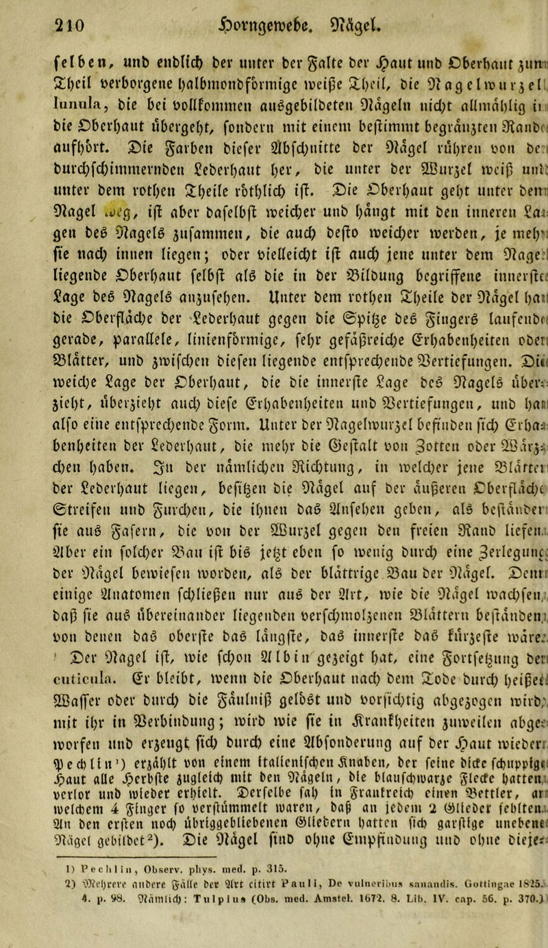 felben, utib enblicf) ber unter ber gälte ber Jjtaut unb Oberhaut 31m £l)eil verborgene fyalbmottbformige meiße Sßeil, bie Diagelmurjel lunula, bie bei vollkommen auSgebilbeten Dingein uid;t allniäldig ii bie Oberbaut übergebt, fottbern mit einem benimmt begiäujreu Dianbr äufßort. Oie garbett biefer 2ibfd;nitte ber Diagel rül)ren von bc burd;fd)immertibcn Jeberßaut bev, bie unter ber DBurjel rnciß uni unter bem rotbett &amp;l)eile r'otl)licf) ifi. £&gt;ie Oberbaut gebt unter bett Diagel meg, ifi aber bafelbft meicßer unb b«»Qt mit ben inneren Jat= gen beS DiagelS $ufammett, bie auch befbo meid;er merbett, je meß* fte ttad? innen liegen; ober vielleidjt iß: auch jette unter bem Diage liegettbe Oberbaut felbß als bie in ber 23ilbuug begriffene tntterfh.’ Jage beS DiagelS attjufeben. Unter bem rotbett Steile ber Diagel ßatl bie Oberfläd^e ber Jeberßaut gegen bie Spille beS gittgerS laufenbr! gerabe, parallele, linietifovmige, febr gefaßreid;e @rl)abetil)eiten ober Blatter, unb stvifd)eti biefett liegettbe entfpred;enbe DSertiefungett. Oit&lt; meidje Jage ber Oberbaut, bie bie itmerfte Jage beS DiagelS übers: 3tel)t, übevjiebt and; biefe @il)abenl)eiten unb DDertiefungen, unb l)ar: alfo eilte entfpred)etibe gorm. Unter ber Diagehvurjel beftnben ftd; Srbaa: benbeiten ber Jebet'battt, bie ntebr bie ©ejialt von Rotten ober Döarji d)ett haben. Sv ber namlidjen Diid)tutig, itt meld)er jette SSIattet ber Jcberbaut liegen, befreit bie Diagel auf ber äußeren Oberfläd;e Streifen ttttb gtird)ett, bie ibttett baS Slnfebett geben, als beftänber fte auS gafern, bie vott ber DBurjel gegen bett freien Staub liefen. Slber ein folcßer 23au iß bis jeltt eben fo meutg bttrd; eine ^trlegutu: ber Diagel betviefen tvorben, als ber blättrige 23an ber Diagel. Oettt: einige Üluatomett fdßießett nur aus ber Qlrt, mie bie Diagel roachfen, baß fte auS ttbereittanber liegenbett verfdpnioljenen 23lattern beßänben, von benett baS oberße baS lattgße, baS tittterße baS fürjeße märe;. ’ Oer Diagel iß, mie fd)ott 211 bin gezeigt bat, eine gortfeßung ber, cuticula. @r bleibt, metttt bie Oberbaut ttad) bem £obc burd; beißet. QBaffer ober bttrd) bie gättlniß gelbst unb vorjttOtig abgejogett wirb;, mit ibr itt SSerbinbung; wirb mie fte itt Äratifbeitett jumeilett abge; morfen ttttb erjeugt ftd) burd) eine Qlbfonberung auf ber JTtaut miebert ‘jpccbllu’) erjäblt von einem Italienischen Änttben, ber feine biefe fcbttppfgc: jpaut alle Jperbfte äuglcicb mit ben Diägeln, bie blaufd)ioarie glecfc batten verlor unb tvieber erhielt. Oerfclbe fal) in Sraufrelcb einen Bettler, ar tvelcbetn 4 Singer fo verftummelt waren, bajt an jebem 2 ©lieber fehlten. 3Itt ben erften nocl? übriggebliebencn ©liebem hatten fiel) garfUge unebene Diagel gebUbct1 2). Oie Diagel fttiD ohne Gntpßubuiig unb ol)ne bieje? 1) 1? ec tili n, Observ. plivs. meit. p. 315. 2) ’iOMjrere nnberc geilte ber 2lrr citivt Pauli, De vulncribus sanandis. Gottingae 1825. 4. p. SS. Otämlift): Ttilpius (Obs. med. Amstel. 1672. 8. Lib. IV. cnp. 56. p. 370.)