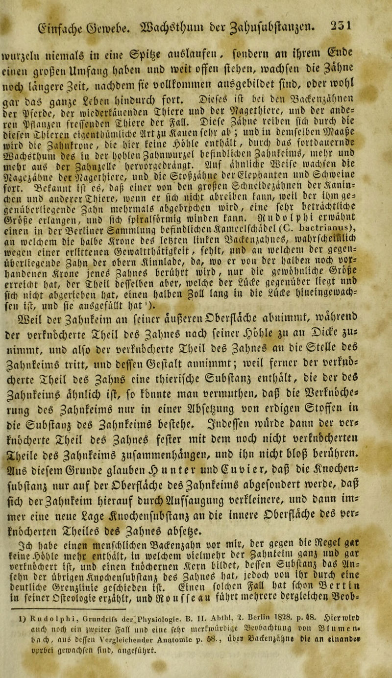 murmeln niemals in eine ©piße ««ßloufeu, foubern an iljvem ©nbe einen großen Umfang l)aben unb mit offen fielen, wad)fcn bie 3al)ne nod; längere 3cit, uad)bent fte »ollfommen anSgcbtlbet ftttb, oberwo&amp;l gar baS ganje Sehen binburd) fort. ®iefe$ ift bei ben 93aden^äf)ncn ber spferbc, ber mlcberfäuenben Shicre unb ber 9?agctl)icrc, unb ber anbe= ren &lt;Pflanien freffenben fchlere ber gall. ©lefe ne reiben fiel) burd) bte tiefen £l)lereu clgentbümlicbe 3Irt ju Äauenfehr ab ; unb in bemfelben Liaafe wirb bte gabnfrone, bte hier feine Jpohle enthält, burd) baö fortbauernbe 2Sad)ßthum beb ln ber boblen jjahnrouricl beftnbltcben Sahufclmö, tncbr unb mehr auß ber Babnjelle herootgebtängt. 2luf ähnliche 5Bcife roachfen bte Lagciälnie ber Lagerbiere, unb bfc ©tofljähne berSlepbanten unb ©chwcine fort. 53efanut 1(1 eß, bajj einer oon ben großen©cbnclbejahnen Der d)cn unb anberer Üblere, wenn er |id) nld)t abrelbcn faun, weil ber Ujut ges genübcrllegenbe j3af)n mehrmals abgcbrpd)cn wirb, eine febt beträchtliche ©röpe erlangen, unb ftd) fpiralfermfg wlnbeu Eann. Ölitbolphi erwähnt einen tn ber berliner (Sammlung beftnbltcbenÄautcclfcbäbel (C. bactrianus), au weUtem blc halbe .Krone beß lebten Hufen 93gcfcn^abneö, wabrfcbetullcb wegen einer erlittenen ©cwalttbätlgfelt, fehlt, unb an welchem ber gegeu^ ftberllcgeube £al)n ber obern äUnnlabc, ba, wo er oon ber halben nod) oou banbenen Ärone jeneß Wahnes berührt wirb, nur Die gewöhnliche ©roße erreicht hat, ber Shell betreiben aber, welche ber 2ücfe gegenüber liegt unb ftd) md)t abgerlcbeu hat, einen halben pell lang in blc Sücfe hlneingewach= fett fjl, unb fte nußgefüllt hat1)* SBetl ber 3al)ttfeim an feiner äußeren Oberfläche abuimntf, roähreub ber mfnod)erte Shcil beS pahneS uad) feiner Jpbhle jn an Xbicf’e jus nimmt, unb alfo ber oerf'nbdjerte £heil beS 3al)tie§ an bie ©teile beS 3al)ttfeimS tritt, unb beffen ©etfalt annimmt; meil ferner ber »erfubs djerte Shell beß pahuö eine tl)ierifd;e ©ubflanj enthält, bie ber beß 3al;nfeim0 äl)tilid) ijl, fo fouute man »erinuthen, baß bie S3erfnbd;e« rung beß pahnf'eimß nur in einer Slbfefcung oon erlügen Stoffen in bie ©ubftanj beS 3ahnFeimS befiele. S»beffen nntvbe bann ber »er« Fnod)erte Shell beß 3al)tteß feflcr mit bem noch nid)t »erfn&amp;d;evten £l;eile beß pahufeimß jufammenhängen, unb il)ti nid)t bloß beruhten. 2luß btefem ©rutibe glauben Runter unb ß u »i e r, baß bie Knochen* fubftanj nur auf ber £&gt;berfläd;e beßpahnFeimß abgefonbevt tverbe, baff fid) berpahnFeim hierauf burd) 2Iuffaugutig »erfleinere, unb bann ims mer eine neue Sage ^nochettfubflanj an bie innere £&gt;berfläd;e beß »er* fnbeberten Sheileß beß 3ah»eß abfef^c* 3d) habe einen menfchlld)en 53acEenjal)tt vor mir, her gegen Me Legcl gar feine .r?6hle mehr enthält, in welchem vielmehr her pahnfelmt ganj unb gar »erfnochert lft, unb einen fnochernen .Kern hübet, beffen eubjtattj baß 2ln= fcl)n ber übrigen Änod)enfub|tanj beß paßneß hat, jebod) oou Ihr burd) eine beutllcbe ©renjtiuie gefd)leben l(t. einen folchen Sali hat fchon 53ertin in feiner Dßeologle er jähtt, unbOtouffeau führt mehrere begleichen 53eob* 1) Rudolphi, Grundrifs (ler.riiysiologie. B. II. Alittil, 2. Berlin 1828. p. 48. jpimutrb oiiri) nod) ein jweitep galt nnb eine fetjv mcrfiuüvtigc 93co6nd)tuLig oon 18 fumen» 6(ld), nno beffen Vergleichender Anatomie p. 58., llbo» Ä)rtcfelljnf)ne blc on tinflnbe« opvOcf gciond)fcn finb, angcfütjvt.