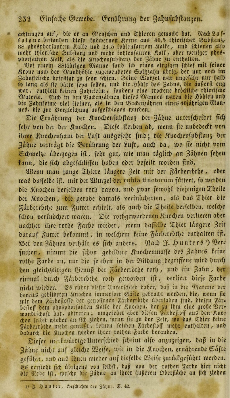 Ächtungen auf, bfe er an 9)?enfchen uni) £l;teren gemacht fjat. 9?a6 2af= falgne beftauben blcfe fnodiernen Äerne auß 40,5 tl;ierffcber ©ubftanj, 88 pl)üöpl)ovfauvcni £alfe unb 21,5 fot;(enfaurem dtalfc, unb fcttenen alfo mehr tl;terifd)e ©ubftanj unb mel;r foblenfauren Äalf, aber weniger pboß= Vborfaureu dtalf, afs bfe ,&amp;nocf)enfubfran,$ bcr &gt;5dl)ne 311 enthalten. 93ei einem 88jd(;rigen fDianne faub ich einen etnjigen fchief mit feinet .firoite nach ber 97iuuö[;6()(e jugenjenbeten @plh3at;n übrig, ber nur noch im gahnfletfche bcfeftigt 51t fern festen, ©eine ffiuriel war ungefähr nur l;alb fo lang alß fie batte fern feilen, unb bie J&gt;6l)le beß ;3al)nß, «ufierft eng war, entbleit feinen gabufelnt, fonbern eine trodene brocEltdie tl)iertfd;e Materie. Qlucb in ben 93acEenjdbnen biefeß cOianncß waren bie Noblen unb bie 3«buEeime ricl fleiner, alß in ben 93acEeujdl)ncu eineß 40jdl;rtgen Waits neß, bie 311t 23erglelcl)ung aufgefdjlagen würben. Sie (Ernährung ber .ftuodjeufubftonj bcr 3af)ite unteifcheibet ftch fel;r oott ber ber ,ftnod;en. Stefe fferbeti ab, wenn fte mtbebeeft t?on ihrer $nod;eubaut ber Suft auSgefe^t ftnb; bie $uod;enfubjIau$ ber 3af)»e oertragt bie 93mi(;rung ber £uft, aud; ba, wo fte nicht 00m ©dnnel^e überzogen tff, fet&gt;r gut, wie man täglich au ^^buen fel)en Faun, bie ftd; abgefd;liffeu haben ober befedt worben fttib. Sßenn man junge £l;*cre längere ^cit mit ber garberrbthe, ober waß baffelbe ijt, mit ber Sßurjel ber rubia tinctorum füttert, fo werben bie $uod;en berfelbeu rotf&gt; baoott, unb 3war fowohl biejeuigeu 3:f&gt;eitc ber Knochen, bie gerabe bamalß oerf’nodjerten, alß baß £l;ier fcie garberrbthe jum guttcr erhielt, a(ß and) bie Sl(&gt;et(e berfelbeu, we(d;e fd;ott oerfnbd;ert waren. Sie rothgeworbeneit dluod;eu ocrlierett aber nachher ihre rothe garbe wteber, wenn baffelbe S£hicv längere £eit barattf gutter befommt, in weld;cnt feine garberrbthe enthalten ift. Sei ben Jahnen »erhalt eß ffdb anberß. f)]ad; 3f. Sutiterß 0 53er; fud;en, nimmt bie fd;ott gebilbete ,fttiod;enmaffe beß ,3a(;ueß Feine rothe Sache au, nur bie fo eben tu ber iöilbuug. begriffene wirb burd) ben gleidfjeitigeu ©ettitß ber garberrbthe rotl), unb ein ^ahn, ber einmal burd; garberrbthe rotl; geworben ifi, verliert biefe garbe nicht wteber. @ß rührt biefer llnfcrfd;ieb baber, baß in bte butterte ber bereite gebilbeten dtnod)eu immerfort ©dfte gebracht werben, bie, wenn fie mit bem gdvbcfloffe ber genoffeneu garberrbthe übcrlabeu ftnb, biefen gdrs befoff bem pboßphorfaitren jtalfe ber dtnodjeu, bcr 311 il;m eine grojieiBcrr wanbtfdtaft bat, abtrete»; utugefe(;rt aber biefen gdrbeftoff and ben Äno* eben felbft wiebet an fiel) 3tel;en, wenn fie 311 ber j5cir, wo baß £l;ter feine garberrbthe mehr geniefit, feinen foldjen garbeftoff mehr enthalten, unb iabiird; bte Knochen wteber Ihrer rotl;en garbe berauben. Sicfer mevf'witrbigelluterfd;ieb fdjeint alfo anjujcigeu, baß in bie ^ahne nid;t auf gleid;c 2ßeife, wie in bie Änod;en, entahrenbe Safte geführt, unb auß ihnen wieber auf biefelbc 2ßeife jurücfgefül;rt werben. @ß perftetjt ftch übrfgenß rem felbft, baO von bcr rotben garbe hier nicht bie Diebe ift, welche bie 3dt;uc an it;rcr andereu £&gt;berfldd;c an ftch 3lel;eu l) 3. § mit er, Q)efd)id)te tt r 3fl!;iu. 6. ti.