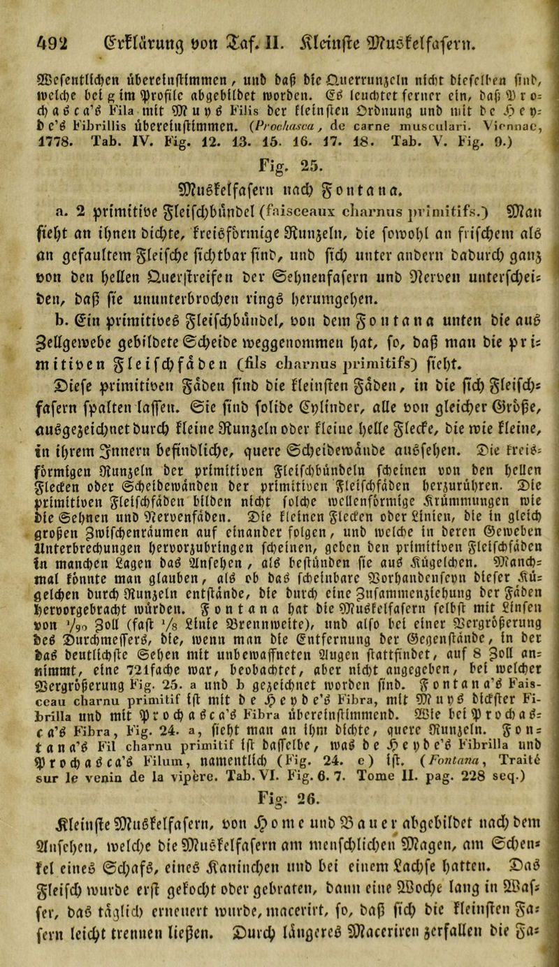 SBefeittlfcbcn überelnfHmntcn, uitb ba(t bfc CUterrunjclu nfdit blefelhen jinb, tvcldjc bei g tm ^Profite abgebllbct worben. ES leuchtet ferner ein, bafj^Dro- i d)a»ca’tf Fila rillt 5If ut)ö Filis ber fletnficn ßrbuung unb mit be Sp e p-- b C’Ö Fibrillis Übereillftlmmen. (Prochascu, de carne musculari. Virnnac, i 1778. Tab. IV. Fig. 12. 13. 15. 16. 17. 18. Tab. V. Fig. 9.) Fig. 25. SDHigfelfafertt nad) gontatia. a. 2 primitive gleifd)bunbcl (fnisceaux charnus pviniitifs.) 9D?att fielet an ibnett bid)te, freiefonnige SRuttjelit, bic fowol)l an frifdjem alß Ott gefaultem gleifcße fid)tbav ftnb, unb ftd; unter anbertt baburd) gatt$ j oott beit bellen £iuer|f reifeu ber ©eljnenfafern unb Dferoen unterfd)eU beit, baß fte unuitterbrodfen vingö berumgeben. b. ßitt primitioeS gleifdjbuttbel, ooit betn goutana unten bie auß Fettgewebe gebitbete ©d)eibe weggettommeti bat, fo, baf5 matt bie v i= nt i t i ö e n gleifd)faben (fils charnus primitifs) fielet. ©iefe primitioen gaben ftttb bie fleittften gaben, tu bie jtd) gleifd)* fafertt fpalten laßen. ©ic ftttb folibe (Spltnber, alle oon gleicher ©rbße, ou6gejeid)tietburd) Heine üHuttjeltt ober Heiue bette gteefe, bie wie Heine, ttt ihrem Ämtern beftttblid)e, quere ©djeibewdnbe attßfebett. £rie frei*; förmigen Otunjeln ber primitiven glelfd)bünbeln febetnen von ben bellen glecten ober ©cbeibewanben ber primitiven gletfd)fdben berjurübren. 2)le primitiven glelfdjfdben bllben nlcbt folcbc wellenförmige Krümmungen wie bie ©ebnen unb Diervenfäbcn. Sie Keinen glccfcn ober £inten, bie ln gteid) groben gwlfcbenraumen auf etnanber folgen, unb welche in beren ©etveben Unterbrechungen bervorjubringen fdjelnen, geben ben primitiven glclfchfdben !n matteben Sagen baö Slnfebcn , alö beftünben fte aud Kügelchen. 9)iancb= mal fönnte man glauben, a(6 ob baö fchelnbare SSorbanbcnfcpn blefer Kü= gelcben bureb dunjeln entftdnbe, bie bureb eine ^nfammenjlebung ber gaben bervorgebracht würben, g o n t a n a bat bte SOiu^felfafern felbft mit Slnfen #on y9o 3oll (faß Vs Stute Brennweite), unb alfo bei einer Vergrößerung beö ©urcbmelferä, bfe, wenn man bie Entfernung ber ©cgenftdnbc, in ber fca6 beutllcbfte ©eben mit unbewaffneten SJugen ftattfinbet, auf 8 £oll an= nimmt, eine 72ifacbe war, beobachtet, aber nld)t augegeben, bei welcher Vergrößerung Fig. 25. a unb b gezeichnet worben ftnb. gontatta’ö Fais- ceau charnu primitif t ft mit be Sp C p b e’d Fibra, mit fÖ? U pd Mcffter Fi- brilla unb mit ip r o cp a 6 c a’d Fibra überelnftlmmenb. 2ßie beMprotbatf; . c a’$ Fibra, Fig. 24. a, fleht man an ihm bfebte, quere (Kungeln, gott; tana’f! Fil charnu primitif ift baffclbe, Wa6 be Sp e P b C’<? Fibrill a unb i)} r 0 d) a Ö ca’6 Filum, namentlich (Fig. 24. e) ift. (Fontana, Trait6 sur le venin de la vipere. Tab. VI. Fig. 6. 7. Tome II. pag. 228 seq.) Fig. 26. ■JHeitiffe SOfuSWfafern, oon Sp o nt e unb 33 a u c r abgebübet ttad) bent ginfcbctt, welche bie 33? ne fei fafertt am mettfd)lid)en Sttagen, am ©d)en* fei einet? ©d;afS, eittcö dfatiindfeit mib bei einem £ad)fe bdttcit. £)aö - gleifd) würbe erß gefod)t ober gebraten, batitt eine &amp;Bod)e lang in 2Baf» fer, baö tdglid) erneuert würbe, ntacerirt, fo, baß ftd) bie Heinjfeit ga* , fern leid)t trennen ließen. 5)urcb Idngereö 9)?accrircti jerfallen bie gas .