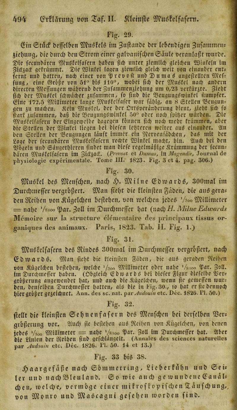 Fig. 29. CE'in ©tilcf beffelbett Mußfelß im ber febettbigett ^iifammeu* jiebung, bic burd) bcti ©front einer galoauifd)eii©äute oernnlaßt würbe. ©lc fecunbdreu Mußfclfafern (jakn fiel? unter jiemlfch gleichen SBiufcltt im jdcfjact gefrümmt. ©te SSinfel lagen aicmltd) gletd? mcit non efnanber ent: fernt uttb batten, nad) einer non ^)venoft unb ©umaß angeftellten 9??ef= jung, eine ©röjje non 51° biß 110°, mobei fiel) ber Würfet nad? anbevn birecten Mejfungen mdhrenb ber jBufammenjiehung um 0,23 ocrfürjte. ftd> ber Mußtet fchmdcher jufammen, fo ftnb bie 23eugungßminfel üumpfer. ©ine 172,5 Millimeter lange 50?uöfclfafcr mar fähig, an 8 Stellen 33eugun= gen ju machen. Äetn 50?ut5fel, ber ber ©rtßncrdnbcrung bient, jicht ftd) io ftarf jufammen, baf; bte 23eugungßmiitfel 50° ober noch fptßcr mürben, ©ie Mußfclfafern ber gittgemeiöe bagegen fonnen fid? nod) mehr frummen, aber bic ©teilen ber SSinfcl liegen bei btefen lefjtcreu metter auß etnauber. 21 tt ben ©teilen ber Beugungen lauft immer ein 9(Croeufdbd)en, baß mit ber Sage ber fecünbdrcn Mußfelfafern rechte 2Binfel macht, hin. 2lnd) bei beti «Sögeln unb Saugetieren finbet man biefe regelmäßige Krümmung ber fccun= baren Mußfelfaferu im gtcfjacf. {Prevost et Dumas, tn Mugendie, Journal de physiologie experimentale. Tome III. 1823. Fig. 3 et 4. pag. 306.) Fig. 30. Mußfel beß Mettfd)en, nad) Sp. Mi lue @ b m a r b ß, 300mal im ©hirdjmefter öergroßert. Man fiei)t bie Fleinjfen gäben, bie außgera* beti Lethen non $ugeld)ett begehen, non welchen jebeß Vsoo Millimeter = nahe Vsioo sv>ar. ^oll im ©mrdjmeffer hat (nad) H. MilneEdwards Memoire sur la struetnre elementaire des principaux tissus or- ganiques des animaux. Paris, 1S23. Tab. II. Fig. 1.) Fig. 31. Mußfelfafern beß 3Rinbeß 300mal im D urchmejfer uergr&amp;jfert, ttad) (üjbtvavbß. Man ficht bie fleinften gäben, bie auß gcraben Leihen non Äügcld)en beftehen, mclche 7300 Millimeter ober nahe Vsioo 2’ar. j3olI. int ©urchmejfer haben, (übglcid) ßbmarbß bei biefer gigur biefclbe 3? er* grojjerung angemenbet hat, unb auch bte .ftügcldjen, rnenn fte gemelfcn murr ben, benfelben ©urchmejfer hatten, alß bie tu Fig. 30., fo hat erftcbennoch hier großer gezeichnet. Ann. des sc. nat. parJudouin etc. Dcc. 1826. PI. 50.) Fig. 32. (Mt bie fleinften ©ei) tt eufafern beß Menfchett bei berfelbett 9Scr* gvofentug nor. 2lud) fte beftehen auß Freiheit tum du'ujefiben, non benen jebeß 73oo Millimeter = nahe 100 ipar. $oll im ©urchmejfer hat. 2lbcr bie gllUCtt ber Öietheil finb gcfd)Iängelt. (AnnalCS des Sciences naturelles par Judouhi etc. Düc. 1826. Pi. 50. 14 et 13.) Fig. 33 biß 3S. Jjaargcfäfe nad) ©bmmerving, Siebevftlhn unb ©ei* Ier unb ttad) 331eulanb. ©0 wie and) ge tnu 11 benc G>auä 1* d) c n, wcl d) e, ö e r ttt bg e ein er nt i f' r 0f Fo p i f d)e tt Za u fd) uttg,, üou Mottro uttb Ma^cagnt gefeheu worben finb.