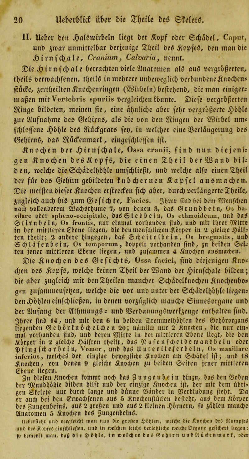 II. Heber beit Jjalöroirbeln liegt bet* $opf ober ©cfcdbel, Caput, unb jtvar unmittelbar berjenige 5£l)eil beß Aopfeß, beti matt bie Jj?irttfd).ale, Cranium, Ccilvaria, nennt. Sie Jpirttfd;ale betradjten viele Slnatonieti alß auö vergrößerten, ttjeilö vertvadjfenett, theilß in mehrere unbeweglich verbimbetieÄnochett; flucfe, jertbeilten ^nodbenrittgett (Wirbeln) befrebenb, bie man einiger; maßen mit Vertebris spuriis Dergleichen fbttnte. Siefe vergrößerten SRingc bitbeten, meinen fie, eine dl)ttlid)e aber fetjr vergrößerte Jpohle jur 2tuftiabme beß ©eljirnß, alß bie von ben Siingen ber SLBivbel uni; fdjloffette JpbOIe beß 9iu&lt;fgratß fet), in tveldjer eine Verlängerung beß ©ehirnß, baß Siucfenmarü, eingefcl;loj]en ift. $ttod;ett ber Jpirttf d)a le, Ossa cranii, finb nun biejetti; ge tt $ tt o d)e tt beß $ op fß, bie einen 5t l) e i l b e r 2Ba n b biU ben, welche bie ©d;dbell)ol)le umfdfließt, unb weld;e alfo einen5tl)eit ber für baß ©el)irn gebilbetett fnbehernen Äapfel außntadjen. Sie nteißett biefer Ättod)eu erßrecfen fich aber, bttrd) verlängerte 5tl)eile, jugleid) aud) biß jtttn ©eft’chte, Facies. 3ßrer ftnb hei bem Wcnfrfjen nad&gt; oodeubetent 2Bad)ßthtmte 7, von betten 3, baß ©tunbbetn, Os ba- silare ober spheno-occipitale, baß © t e b b e t tt, Os ethnioidcuni, Ullb baß (Stirnbein, Os frontis, nur einmal oorhanben finb, unb mit ihrer Witte in ber mittleren ebene liegen, bte benntenßblhben Aörper in 2 gleiche Spar- ten theilt; 2 anbere hingegen, baß ©d)cttelbetn, Os bregmatis, unb ©chldfenbein, Os temporum, hoppelt oorhaitben finb, ju beiben ©ei= ten jener mittleren ©bene liegen, unb jufamnten 4 Knochen außniadjen. Sie Änochett beß ©eficßtß, Ossa faciei, finb biejenigett $no; djett beß diopfß, weld;e feinen 5theil ber2Battb ber Jpirnfdfale hüben; bie aber jugleid) mit ben5tl)eilen mattdfer ©dfdbelfitodKtt d\tiod;ettbo; gen jufammettfe^en, welche bie vor unb unter ber ©djdbelh&amp;hle liegen; beudpbl)leneittfd;licßett, in beiten vorzüglich manche ©ittneßorgatte unb ber 2Infang ber öltljmungß; unb Verbauungßwerf'zeuge enthalten ftnb. 3hrer ftnb 14, unb mit ben 6 in beiben Uroinutelhöhlcn beß ©cljörorgaitß liegenbett ©ehorEnöcheldjen 20; nämlich nur 2 Knochen, bie nur ein; mal oorhanben finb, unb bereit Witte in ber mittleren ebene liegt, bie ben Körper in 2 gleidje Jpälften theilt, baß 9iafenfd)eibetoanbbeiti ober 2) fing fch a r b e i n, Vomer, unb baß Unterfie/erbeln, Os maxiliare infei'ius, tocldjeß ber elnjlge betoeglidje jtnodten atn ©chdbcl iß; unb 18 Knochen, oott betten 9 gleiche Knochen ju beiben ©eiten jener mittleren ©bette liegen. gu biefett ^ttodtett fottimt noch baß puttgettbeitt hinzu, baß bcnVoben ber Wtutbhbhle bilbett hilft unb ber einzige Knochen iß, ber mit bem übri= gen ©felete nur burch lange unb bttnuc 93dnber in SSerbinbung fleht. 2&gt;a er auch bei ben ©rtvachfenen auß 5 Änochenßücfen beßeht, auß bem Körper beß ^ungettbeinß, auß 2 großen unb auß 2 flehten Jpbrncrn, fo jdhlcn manche Slnatomen 5 Knochen beß gungenbeinß. tlct'crftctjt unb oergteidjt man nun bic orojäen Jp&amp;ljfen, metdjc bic Snodjcn be? SRumpfei unb bcSÄopfcö cinfcfjticßen, unb in meteben tcid)t pcrtel)lid)e ivcidte Organe gcfid)crt liegen: fo Oemcrft man, baß bie §b()lc, in n&gt; et eher badöehirn u n b 9türfen ma rf, aber