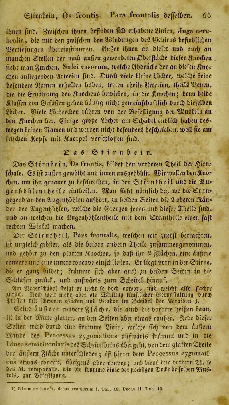 ifjnen ßttb. f^ticn befhtbett ftd; erhabene Sinfcn, Jnga cere- bralia, bte mit ben jmifd)en ben ffiinbungett beS ©ebirttS beßublid)en •jBerttefuitgeit tibereinßtntmett. Außer ihnen au btefer tmb attd) au mattd)en ©teilen ber tt ad) außen gemenbeten £)berßdd)e biefer $ttod)en ftel)t man §uvd)eti, Sulci vasorum, tueld)e Abbrtkfe ber an biefen $no; dien anltegenben Arterien ftnb. Durd) üiele Heine £od)er, weld)e feine befonbere tarnen erhalten haben, treten theilS 2Irterien, tl)eilö Aktien, bie bie Ernährung beo .ftuodieuS bemirfett, in DieÄtiod)en; benn beibe klaffen bott ©efaßett gehen häufig uid;t gemetnfdwftlid) bttrd) biefelbeit ü&amp;cher. 53icle £od)erd)en rühren bott ber 23efeßiguttg ber 20?u6feln an beit ÄitodKit her. ©tttige große £bd)er am ©djabel ettbltd) hohen be^s wegen feinen Dlatuen unb werben itid)t befonberS befd;rieben, weil fte am frifchen dtopfe mit Knorpel berfdßojfen ftnb. 3 a S @ t t r ti b e i tt. DaS @t tmb ein, Os frontis, bilbet ben borbereit £heil her Spitm fdjale. ©6 iß außen getvblbt unb innen auSgeßoblt. 2Btr wollenbeit Ättos djeit, um ihn genauer 51t befdjreibett, in ben ©tir tttf&gt;e il uttb bie Aus genbb bient heile etntheilen. SOtati ßeljt namltd; ba, mo bie ©tim* gegenb an ben Augenhöhlen aufhort, ju beibeit ©eiten bie 2 oberen Statt« ber ber Augenhöhlen, weld;e bie ©rettjett jenes unb biefer &amp;heile ftitb, unb an weld)ett bie Augenhohleiitheile mit bent ©tirntbeile einen faßt redeten SLßinfel mad;ett. Der ©tirntheil, Pars frontalis, weld)ett mir juerß betrauten, iß: ungleich gr&amp;ßer, als bie beiben attbern £h?ile jufammetigenontmeit, tutb gehört 31t ben platten Änodjen, fo baß ihn 2 §lad;ett, eine äußere cottbcre unb eine innere cottcabe eittfd)Iießen. ©r liegt bortt in ber ©time, bie er gattj bilbet; brummt ftd) aber aud) 51t beiben ©eiten in bie ©dßdfen jtirucf, unb aufwärts 311m ©cßeitel fjtnauf. Qlm Aegerfcfwbel ßelgt er nicht fo Iiodi empor, tutb weicht alfo flauet jurücf. 9toeb »nett mehr aber als SBtrftittg funßltcher SSeninfcaltting burd) ipreffen mtt fdimcren ©äefett unb Söiitbett im ©chabel ber Äaratben ')• ©eine äußere cottbere §Idd)e, bie auch btet&gt;orbere Reißen faittt, iß in ber SOiitte glatter, att ben ©eiten aber etwas rauher. 3ebe biefer ©eiten wirb burd) eine brumme Siitie, weld)e ft cf) 0011 beut dußertt Staube beS Processus zygomaticus aufwärts friimmt unb itt bie Linea semicircnlaris beS (Scheitelbeins tl6ergel&gt;t, bon bem glatten Steile ber äußern §ldd;e utiterfdßebett; iß hinter bem Processus zygomati- ens etwas coitcab, übrigens aber conber; unb bient bem oorbern S&amp;cffe beö M. tomporaiis, »ute bte ftumitte £tnie ber ffechfiaeit 35ccfc beffelbett €0tuds felö, jur Scfeßigung. 1) Blumenliacti, dccas craniorum I. Tab. 10. Decas II. Tab. 10.
