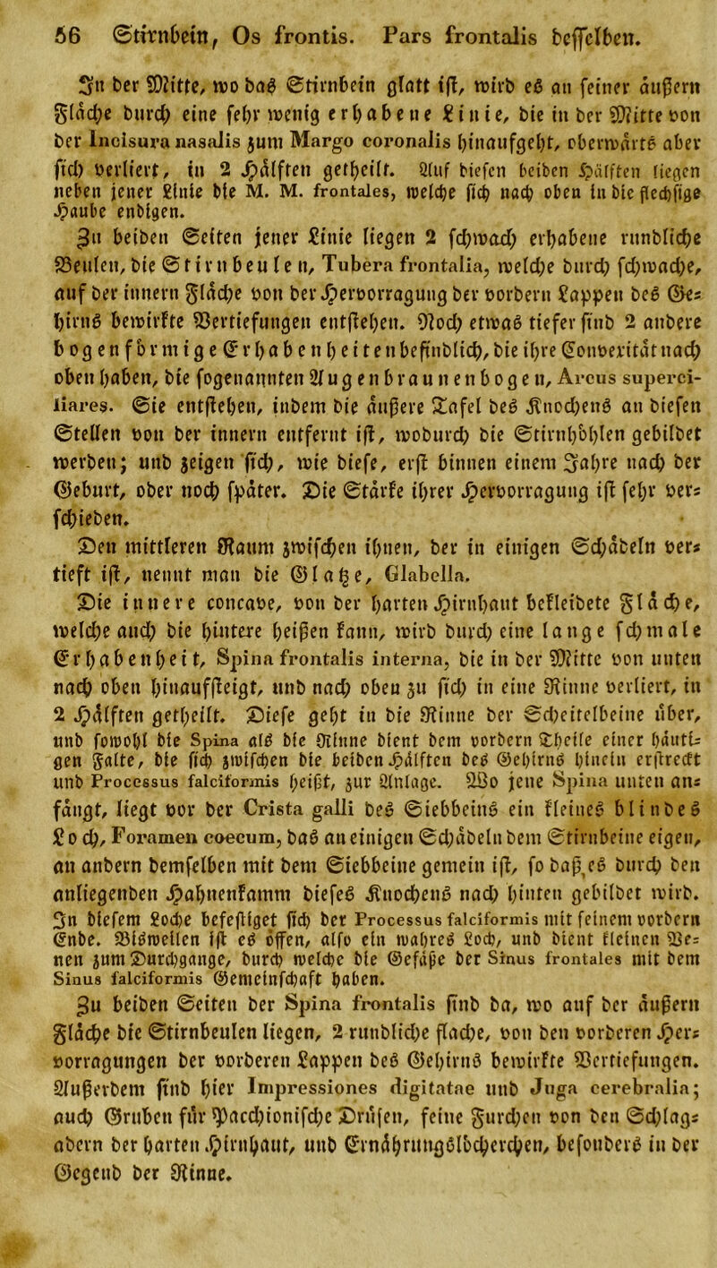 Stt ber 5D2itfe, wo baß Stirnbein glatt ift, wirb eß an feiner außer« gldd;e burd^ eine fehv wenig erhabene Ü i n i e, bte in ber SÜiitte Bott ber Incisuranasalis juni Margo coronalis hiitaufgeht, oberwdrtß aber fiel) verliert, in 2 Rafften getf&gt;eür. Stuf tiefen teiben Rafften liegen neben jener £lnte bte M. M. frontales, welche ftch nach oben in bte fledjftfle Jpaube enbtgen. £it beibeit ©eiten jener £inie liegen 2 fd)wad; erhabene rnnblich* Veulett, bie ©tim beu le n, Tubera frontalia, weld;e bttrd; fd;wad;e, auf ber innern ^Iad?e Bott berJpetBorraguug ber oorbern Sappen beß ©es hirttß bewirfte Vertiefungen entftehen. Vod; etwaß tiefer finb 2 aubere bogenfbv nt igeEr haben h ei tenbeftnblich,bie ihre Eoiweritatnad) oben haben, bie fogenaunten 2lu g e n b ra u n e n b o g e n, Arcus superci- liares. ©ie entgehen, ittbem bie äußere £afel beß $ned;enß an biefett ©teilen Bott ber innern entfernt ift, woburd; bie ©tirnl)bl&gt;Ien gehütet werben; uttb jeigett ftd), wie biefe, erft binnen einem 5ahre »ad; ber ©eburt, ober noch fpater. Die ©tdrfe ihrer Jpcvoorraguug ift fel;r Bers fd;ieben. 2)en mittleren fRatmt jwifchen ihnen, ber in einigen ©d;dbeln Bers tieft ift, nennt man bte ©Iah?/ Glabella. Sie innere concabe, bon ber harten Hirnhaut befteibete g t d d&gt; e, welche and? bie hintere heißen faun, wirb burd? eine lange fd?ttiale Erhabenheit, Spina frontalis interna, bie in ber VJttte bon unten nach oben hinanffteigt, nnb nad? oben ju ftd? in eine Dxiunc berliert, in 2 jpdlfreit geteilt. £&gt;iefe geht in bie 9timte ber ©d?eirelbeine über, nnb foirohl bie Spina alß bte üiiune bient bem oorbern Stbetle einer hdutU gen gälte, bie ftch jiolfcben bie betben Jjpdlftcn beß ©eljfrnß hinein crßrecft unb Processus falclformis f;eißt, jur Einlage. ÜBo jene Spina unten ans fangt, liegt bor ber Crista galli beß ©iebbeiuß ein fleineg blinbeß £o d?, Foramen coecum, baß an einigen ©djdbelnbem ©tirnbeine eigen, an anbern bemfelben mit bem ©iebbeine gemein ift, fo baß,cß burch ben anliegenben Jpahnenfamm biefeß ^ttochenß nad; hinten gebilbet wirb. 3n biefem £od)e befeffiget ftd) ber Processus falclformis mit feinem oorbern ©nbe. SMßioeilen fft eß offen, alfo ein toahreß £od?, unb bient deinen 23e= nett jum ©imbgange, burch »reiche bie ©efafie ber Sinus frontales mit bem Sinus falciformis ©emcillfchaft hoben. beiben ©eiten ber Spina frontalis ftnb ba, wo auf ber äußern gleiche bie ©tirnbeulen liegen, 2 rnttblid?e flad?e, Bon ben »orberen Spevt »orragungen ber Borberen Sappen beß ©ehirttß bewirfte Vertiefungen. Slußerbem ftnb hier Impressiones digitatne uttb Juga cerebralia; ctud? ©ruhen ftlv *pacd?ionifd?e Driifen, feine gurd;ett Bon bnt @d?lags abern ber harten Jjirnbaut, unb Etnäljnutgßl&amp;chercben, befouberß in ber ©egettb ber Stittne.