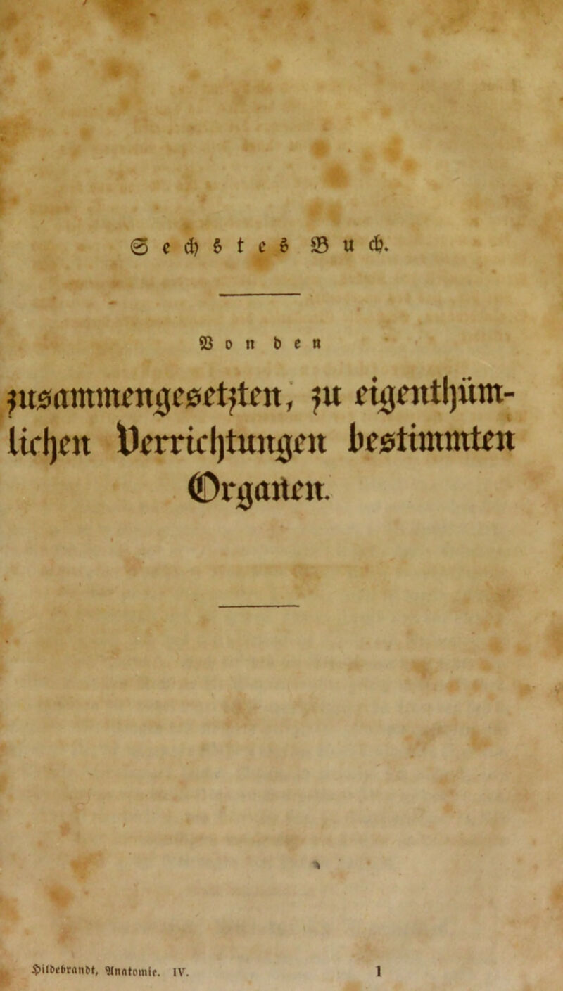 0 e d) 6 t e 6 Sud?. 93 o n b e n jusammengeset^ten, ?n eigentljnm- iirljcn Derricl)tiutgrit bestimmten (Organen.