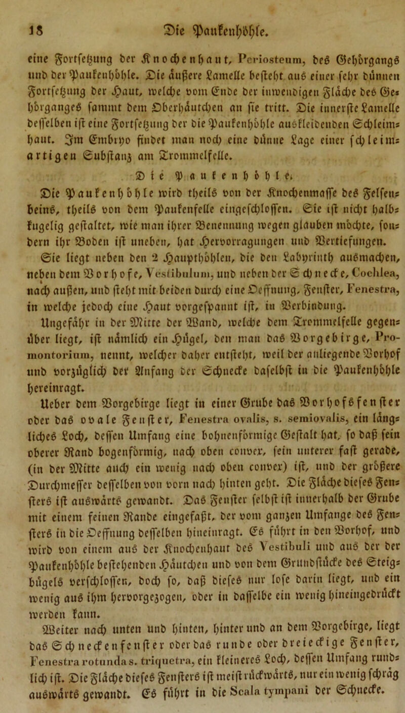 eine Sortfegung bei* Änoc&amp;enbaut, Pcriosteum, beß ©eborgangß unb ber ^paufeuboble. Sie äußere Samelle beßebt auß einer fcljr bunneti gortfe^img ber J£&gt;aut, iveldje uom (Jnbc ber iuwenbigen gldd)e beß @e* bbrgangeß fammt bem Sberbdutd^eu an fie tritt. Sie inncrßc Lamelle befl'elben ift eine Sortierung ber bie spaufenbbblc außfleibeuben ©d)leim* baut. 3m (Jmbrtjo finbet man nod; eine bdnne Sage einer fdjleim* artigen ©ubßauj am Trommelfelle. 2) l e &lt;|) « u ( e n H I) 1 Sie Raufenof&gt;Ie wirb tljeilß oon ber dtdiocbenmaffe beß SeTfetis beinß, tbeilß oon bem 9)anf'enfclle eiugcfd;loffen. Sie iß nicht halb* fugelig geßaltet, wie man ihrer ^Benennung wegen glauben modjte, foit* bem ihr SBoben iß uneben, bat Jjperoorragungen unb Vertiefungen. ©ie liegt neben beit 2 Jjjauptbbblen, bie beit £abt;riutb außmad)cn, neben bem 58 or b ofe, Vestibulnm, unb neben ber © d) ti erf e, Cochlea, ttad; außen, unb ßebtmit beiben bitrd) eineScffnung, Seitfter, Fenestra, in weldje jebod; eine Jpaut oorgefpaunt iß, in 58erbinbung. Uugefdbr in ber SJiitte ber üßanb, weld)e bem Trommelfelle gegen* ilber liegt, iß ndtnlid) ein Jpngel, bcn man baß Vorgebirge, Pro- montorium, nennt, weld;cr baber etitßebt, weil ber anliegenbe Vorb*&gt;f unb »orjugiid; bet Slnfaitg ber ©d;tiecfe bafelbß in bie ^aufenbblßc bereinragt. Ueber bem Vorgebirge liegt in einer ©rube baß 58orbofßfenßev ober baß oöale Seußer, Fenestra ovalis, s. semiovalis, ein lang* lid;eß Sod}, beffen Umfang eine bobuenfbrmige ©eßalt bat, fo baß fein oberer 9tanb bogenförmig, ttad? oben coima-, fein unterer faß gerabe, (in ber SWitte and; ein wenig nad) oben coirner) iß, unb ber größere Surd;mejfer beleihen oon oorn tiad) biatea gebt. Sie Sladje biefeß Sen* ßerß iß außwärtß gcwanbt. Saß Senßer felbß iß innerhalb ber ©rube mit einem feinen Staube eingefaßt, ber oom ganzen Umfange beß Sen* ßerß in bie Sefftiung beffelben bineinragt. @6 fuhrt in bcn Vorljof, unb wirb oon einem auß ber dlnodjcnbaut beß Vestibuli unb auß ber bev spaufenl/oble beßehenben Jpautdjen unb oon bem ©ruttbßdcfe beß ©teig* bugelß oerfdßojfen, bod) fo, baß biefeß nur lofe barin liegt, unb ein wenig auß ihm bevoovgejogen, ober in bafielbc ein wenig bineiugcbrucft werben Faun. SLBeiter ttad) unten unb hinten, hinter unb an bem Vorgebirge, liegt baß © d; n ecf e n f c tt ß e r ober baß r u tt b e ober breiecfige Senßer, Fenestra rotundas. triquetra, ein Fleinereß £od), be||cu Umfang runb* lid? iß. Sic Sldd;e biefeß Senßerß iß meiß rdcfwdrtß, nur ein wenig fd;rag außwdrtß gewaubf. Q8 fuhrt in bie Scala tympani ber ©d;tiecfe.