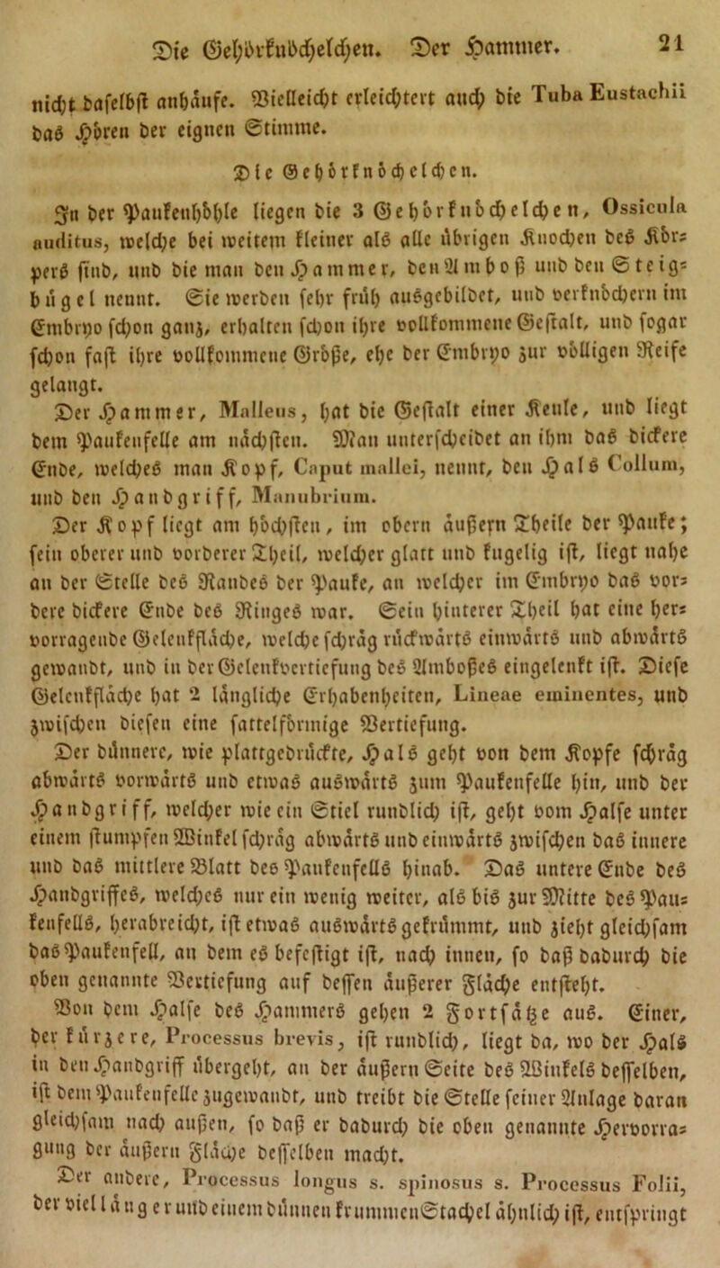 Sie @et;bvfnb$efd)en. Ser Jammer. nid;t bafelbß antjanfe- Vielleid)t erleichtert and; bie Tuba Eustachii baS Jp'oren ber eignen Stimme. £&gt;le @ef)6ffnöd)clcf)cn. g-tt ber ^)öufenl)b^le liegen bie 3 &lt;U e 1) b r F n o ch e 1 d? e n, Ossicola auditus, »veld;e bei »reifem Heiner als olle übrigen älnod)en beS Äbrs perS fiitb, nnb bie man bcnJpammer, benSlmboß unb ben ©teig* b »i g e l nennt, ©ie »verben febr früh auSgebilbet, nnb rerfnbdjen» im ©ttibr»;o fd;on ganj, erbaltcn fd)on iljve vollfommene ©eftalt, unb fogar fd)on faft iljre ooafommeue ©r'oße, eljc ber ©mbr»;o jur rbUigen SReife gelangt. Ser Jammer, Mnlleus, l;at bie ©eflalt einer Äeule, nnb liegt bem ^paufeufeUe am nächßeu. SD? an unterfebeibet an ibm baS biefere ©nbe, »veldjeS man jfopf, Caput inallei, nennt, ben JQ)a16 Collum, nnb ben Jjpanbgriff, Manubrium. Ser $o}&gt; fliegt atn b&amp;chflen, im eben» äußern Übeile ber^anfe; fein oberer nnb oorberer 5£ljeil, welcher glatt nnb fugelig iß, liegt nal)e an ber ©teile beS Diatibee ber ^'aufe, an »reldjcr im Gnnbrpo baS vors bere biefere ©ube beb Diingeö mar. ©ein hinterer Sbeil bat eine Ijcr« vorrageube ©eleufßäche, »vetchefdjräg rücfrodrtß einwärts nnb abivärtß gcivatibt, nnb in ber©elenfvertiefung be» SlmboßeS eingelcnft iß. Sicfe ©eleufßäche bat 2 längliche ©rbabenbeiten, Lineae eminentes, utrb 5»vifcbcn biefen eine fattelfbrmige Vertiefung. Ser bilnnere, »vie plattgebrucfte, JpalS gebt von bem Äopfe febräg abwärts vorwärts nnb etivaS auswärts jnm ^anfettfeUe bin, nnb ber $anbgriff, welcher »vie ein ©fiel runblich iß, gebt vom Jjalfe unter einem ßumbfen2Binfelfd)räg abivärtS unb eimvärtS jmifeben baS innere nnb baS mittlere Vlatt bee ^anfeufeflS binab. SaS untere ©ube beS 4?anbgriffeS, welches nur ein »vetiig weiter, alSbiS jurSD?itte beS^aus fenfeüs, Verabreicht, ift etivaS auswärts gefrdmmt, unb jiel)t gleid;fant baß^aufenfea, an bem eS befefligt iß, nad; innen, fo baß baburch bie oben genannte Vertiefung auf bejfen äußerer gläd;e entßebt. Von bem Jpal^e beS JjanimerS geben 2 gortfäl^e auS. ©iner, ber lärjere, Processus brevis, ifc runblid), liegt ba, »vo ber Jr&gt;alS in ben Jpanbgrijf »'ibergebt, an ber äußern ©eite beS VJinfelS bejfelben, iß bem spaufeufelle jugeivaiibt, unb treibt bie ©teile feiner Anlage baran gleid)|am nad; außen, fo baß er babureb bie oben genannte Jpevvorras guug ber äußern gläuje bejfelben mad;t. Sei anbere, Processus longus s. spinosus s. Processus Folii, ber viel länger unb einem btlnnen frnnmienStacbel äbnlid; iß, entfpringt