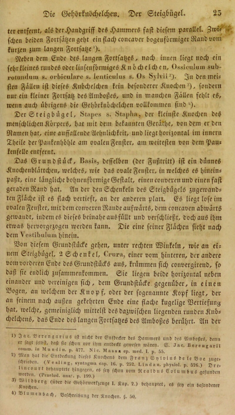 25 Die 0el;brfnöd)eld;en. Dev Steigbügel. ter entfernt, alg berJpanbgrtjf beg Jpammerg faß biefem parallel, fdjen beiben gortfdßengebt ein ßad; concaücr bogenförmiger SRanbootn furjen juin langen goitfa^e ’). Dieben bem ©ube beg langen gortfal^eg, nad) innen liegt nod) ein feljr fleineg ritnbeö ober liitfenformigeg Ä n b d) e l d) e n, Ossiculuin sub- rotundum s. orbiculare s. lenticulus s. Os Sylvii2). 2** ben itteis ften gdllen iß biefeö Änbd)eld)en fein befonberer Jinodjen3), fotibeni nur ein (feiner gortfaß beg2lmboßeg, unb in manchen gdllen fehlt eg, wenn and) übrigeng bie ©eljbrfnbcbcldjen »oUfomtnen jtnb ■)• Der ©teigb üge l, Stapes s. Staplin, ber fleinfte Jinodjen beg ntenfdßidjen Jtbrpcrg, bat mit bem befannten ©erätlje, ton bem erben Dlameti bar, eine auffallenbe 2U’bnlid)feit, unb liegt borijontal im innern 2l)tilc ber^aiif'enbbble am ooalengenßcr, am weireßen »on bem^)au* fenfeile entfernt. Dag ©runbßücf, Basis, beffelben (ber gußtritt) iß ein bilnneg ^nocbenbldttcben, weldjcg, wie bag onale genßcr, in welcbeg eg biueins paßt, eine langlid;e bobuenfbrmigc©eßalt, einen coneeren unb einen faßt gerabenSRanb bat. 21 n ber bcn0d)cnfelu beg Steigbügclg jugewanbs ten gtäcbe iß eg ßad? oertieft, an ber anberen platt, Grg liegt lofe im ooaleu genßer, mit bem coiweren Staube aufwartg, bem coucaoeu abwärtg gewanbt, itibenteg biefeg beinahe augfüllt unb oerfdßießt, bod;augibm etwag beroorgejogeti werben fann. Die eine feiner gldd;en ftelyt nad; bem Vestibulum biiteiit. 53ou biefem ©nt nb ft liefe geben, unter rechten SBinfeln, wie an eis nein ©teigbügel, *2 ©che n fei, Crura, einer oom hinteren, beranbere oom üorberen ©nbe beg ©runbßücfg aug, frilmnten ftcf&gt; conöergtrenb, fo baß |ic enblid) jufammenfommen. @ie liegen beibe borijontal neben einatiber unb vereinigen |id), bem ©runbßücfe gegenüber, in einen 23ogeit, an welchem ber Jtitopf, ober ber fogenaimte j(opf liegt, ber an feinem nad; außen gefebrten ©tibe eine ßad;e ftigelige ISertiefuttg bat, weld;e, gemeiniglich mitteiß begbajwifd;en liegenben runben Änbs d)c(d;eug, baggnbe beg langen gortfafceS beg 2lmboßeg berührt. 2ln ber 1) v!« c. SOerenfinriuS ift nid)t her (Pntbctfcr be$ SnmtncrS unb bcS Dlmbofic#, beim er faßt bag fie fdji'n uor iljtn entbeeft fleroefen wären. Jac. Bereu gar ii Komm, in Mund ln. p. 477. Nie. Maas« cp. med. 1. p. 55. ■2) Sft'nn l)nt bic G-ntbcrfmifl biefei Jtui'djeiiä bem 5 r n u j © i, (i&gt; i u $ b c tc &lt;8 o e jiiijc. lajrtcbcn. (Vesling, »yntngma cap. 16. p. 252. Lindan. physiol. p. 526.) X&gt; C e. u.cp.irt behauptete f)infleflen, r« fei, fd,on uom Dt c n l b u ä G o I u m b u 6 nefunben worben. (Praelud. anaf. p. 199.) 3) Jl.id,en.Crfl CÜ1,tr W* °Jel)5cmetri£Ufle K 2&gt; 6cl,«up‘et, c6 fc,, ein befonberer