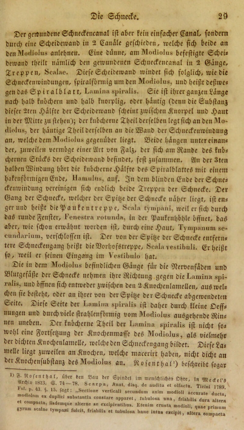 ©er gcwunbetie ©chnecFencanat ifl aber Fein einfacher (£anaL fonbern burd? eine ©cheibewatib in 2 handle gefd)ieben, welche ftd? beibe an benModiolus anlehnen. Sine bünne, am Modiolus befefiigte ©djeis bemaub tbeilt nämlich ben gewunbendn ©dmecfencanal in 2 ©äuge, ©reppen, Scalae. ©iefe ©djeibewanb w inbet ffch folglich, wie bie ©chnecfenwtnbungen, fpiralfbmttg um ben Modiolus, unb heißt beßwes gen baß ©pira (bla tt, Laminaspiralis. ©ie iff ihrerganjenSange nad? halb fnucheru unb l&gt;alb fnorplig, ober häutig (betin bie ©ubflauj biefev 2ten Jpälftc ber ©d;eibewaub fdjeint jwifdjeu Knorpel unb Jjpaut in ber fOiitre ju flehen); ber fnbchertie Übeil berfelbeti legt ftd? an ben Mo- diolus, ber bdntige Ül?eil berfelben au bieiZBanb ber ©chnecfenwinbuug an, welche bem Modiolus gegenüber liegt. Beibe hängen unter einan« ber, jnweilen »ermbge einer 31 rt oon galj, ber ftd? am SRanbe beß Fnös ehernen ©tücfß ber ©cheibewanb beftnDet, fejt jufammen. 2In ber 3teu halben SBinbung b'ort bie fnbd)erne Jpälftc beß ©piralblatteß mit einem halenfbrmigen (Jnbe, Hamulüs, auf. 5« bern blinben (5nbe ber ©ebnes efeuwinbung bereinigen ftd? eublid) beibe Stegen ber ©d)necfe. ©er ©attg ber ©djnecfe, weld?er ber ©pi£e ber ©chnccfe naher liegt, ift ens ger unb heißt bie*Paufe ntreppe, Scala tympaui, tveil er ftd? burch baß runbe genjler, Fenestrn rotunda, in ber ^aufeuhbhle öffnet, baß aber, wie fchon erwähnt worben ijl, burd? eine Jpaut, Tympanum se- cundarium, oerfd)lo|fen ift. ©er oon ber ©pii^e ber ©ehneefe entfern* tere ©d;necfengaug heißt bieBorhofßtreppe, Scala vestibuli. ©r heißt fo, weil er feinen Eingang im Vestibulo hat. ©ie in bent Modiolus beftnblicben ©äuge für bie Dleroenfäben unb Blutgefäße ber ©d?ne&lt;fe nehmen ihre jRid;tuug gegen bie Lamina spi- ralis, unb öffnen ftd? entweber jwifd;en ben 2Äuochenlametlen, auß weis ehen fte befieht, ober an ihrer »on ber ©pi^e ber ©d;necfe abgewenbetcu Seite, ©iefe ©eite ber Lamiira spiralis iff bal?er bnrd; Heine Deffs mmgen unb burch viele ffrahlenförmig »om Modiolus außgehenbe 9lins tien uneben, ©er fnbeherne ül?eil ber Lamina spiralis iff nid;t fo* wohl eine gortfefcung ber ätnochenmafle beß Modiolus, alß oielmehf ber bid;teit Änochenlamelle, welche ben ©d?necfengang bilbet. ©iefe Sas melle liegt juweileu an Änod;en, welche macerirt haben, nicht bicht an berÄnod?enfub|fanj beß Modiolus an. SKofentbal1) 6efd?rei6t fogar “bet 6en 33«u 6er &lt;3pin6cf im mcnfd)Iid)eit Dfjrc, in ^JtedtVS **&gt; ,m■ ©• 74-78. Sc arpa, Anal. disq. de audltu et olfact«. TiälJVm » • p. 43. §. 15. fügt: „Sectione verticnli sccundum axim modioll accurate ducta °  0n' ** duP,ici »ubs'antla constare apparet, tubulosa unn, friabilis dura altera c inpacta, iiidcmque alterne se cxcipientibus. Eteiiim crusta modioll, quae primuni gyrum scalae tympani fulcit, friabilis et tubulosa baue iulus cxcipit, altera eompaeta