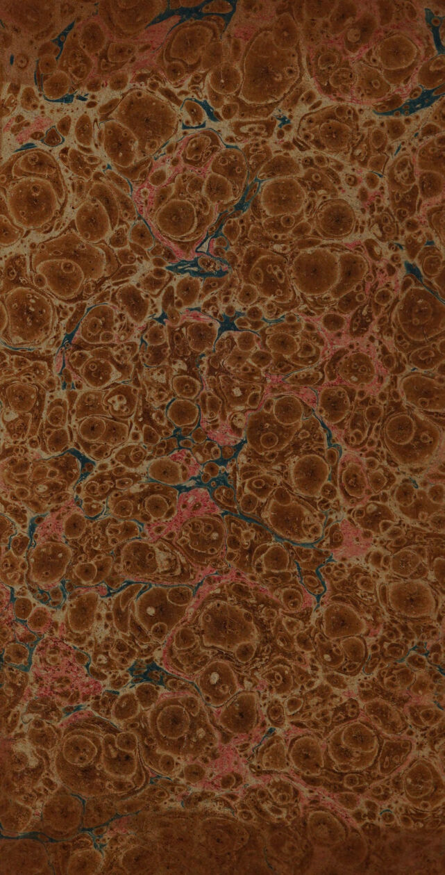 digitised image 2