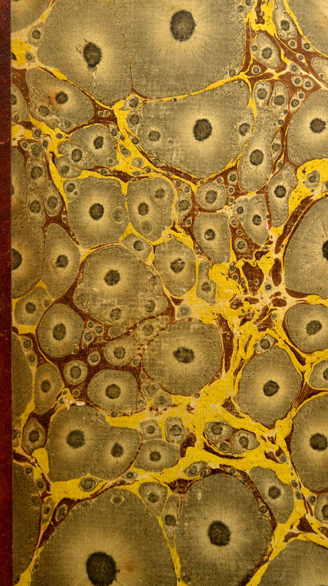 digitised image 1