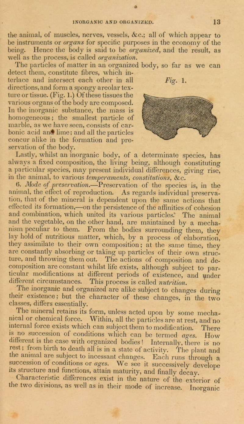 tlie animal, of muscles, nerves, vessels, &amp;c.; all of which appear to be instruments or organs for specific purposes in the economy of the being. Hence the body is said to be organized, and the result, as well as the process, is called organization. The particles of matter in an organized body, so far as wre can detect them, constitute fibres, which in- terlace and intersect each other in all directions, and form a spongy areolar tex- ture or tissue. (Fig. 1.) Of these tissues the various organs of the body are composed. In the inorganic substance, the mass is homogeneous; the smallest particle of marble, as we have seen, consists of car- bonic acid an# lime; and all the particles concur alike in the formation and pre- servation of the body. Lastly, whilst an inorganic body, of a determinate species, has always a fixed composition, the living being, although constituting a particular species, may present individual differences, giving rise, in the animal, to various temperaments, constitutions, &amp;lc. 6. Mode of preservation.—Preservation of the species is, in the animal, the effect of reproduction. As regards individual preserva- tion, that of the mineral is dependent upon the same actions that effected its formation,—on the persistence of the affinities of cohesion and combination, which united its various particles* The animal and the vegetable, on the other hand, are maintained by a mecha- nism peculiar to them. From the bodies surrounding them, they lay hold of nutritious matter, which, by a process of elaboration, they assimilate to their own composition; at the same time, they are constantly absorbing or taking up particles of their own struc- ture, and throwing them out. The actions of composition and de- composition are constant whilst life exists, although subject to par- ticular modifications at different periods of existence, and under different circumstances. This process is called nutrition. The inorganic and organized are alike subject to changes during their existence; but the character of these changes, in the two classes, differs essentially. The mineral retains its form, unless acted upon by some mecha- nical or chemical force. Within, all the particles are at rest, and no internal force exists which can subject them to modification. There is no succession of conditions which can be termed ages. How diffeient is the case with organized bodies! Internally, there is no rest; from birth to death all is in a state of activity. The plant and the animal are subject to incessant changes. Each runs through a succession of conditions or ages. We see it successively develope its structure and functions, attain maturity, and finally decay. Characteristic differences exist in the nature of the exterior of the two divisions, as well as in their mode of increase. Inorganic Fig. 1.