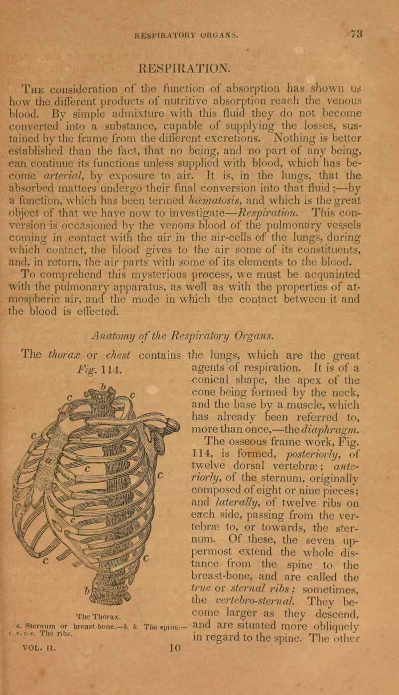 RESPIRATION. The consideration of the function of absorption has shown us how the different products of nutritive absorption reach the venous blood. By simple admixture with this fluid they do not become converted into a substance, capable of supplying the losses, sus- tained by the frame from the different excretions. Nothing is better established than the fact, that no being, and no part of any being, can continue its functions unless supplied with blood, which has be- come arterial, by exposure to air. It is, in the lungs, that the absorbed matters undergo their final conversion into that fluid:—by a function, which has been termed hccmatosis, and which is the great object of that we have now to investigate—Respiration. This con- version is occasioned by the venous blood of the pulmonary vessels coming in contact with the air in the air-cells of the lungs, during which contact, the blood gives to the air some of its constituents, and, in return, the air parts with some of its elements to the blood. To comprehend this mysterious process, we must be acquainted with the pulmonary apparatus, as well as with the properties of at- mospheric air, and the mode in which the contact between it and the blood is effected. Anatomy of the Re The thorax or chest contains Fig. 114. The Thorax. a. Sternum or breast bone.—b. b. The spine, c. c. c. c. The ribs. spiratory Organs. the lungs, which are the great agents of respiration. It is of a conical shape, the apex of the cone being formed by the neck, and the base by a muscle, which has already been referred to, more than once,—thq diaphragm. The osseous frame work, Fig. 114, is formed, posteriorly, of twelve dorsal vertebrae; ante- riorly, of the sternum, originally composed of eight or nine pieces; and laterally, of twelve ribs on each side, passing from the ver- tebrae to, or towards, the ster- num. Of these, the seven up- permost extend the whole dis- tance from the spine to the breast-bone, and are called the true or sternal ribs; sometimes, the vertebrosternal. They be- come larger as they descend, and are situated more obliquely in regard to the spine. The other VOL. II. 10