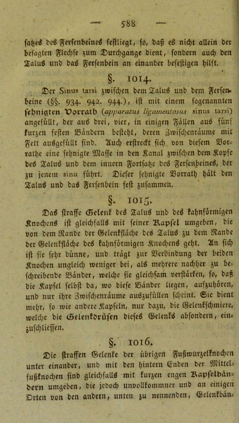 fafceö bcö gerfcnbeincö fefltiegt, fo, baf? cö nicbt allein bet bcfagten Steife jum Durchgänge bient, fonbern aud) ben Ualuö «nb baö gerfenbein an einanber befejiigen hilft. v 4 §. 1014» ■Der Sinus tavsi jwifeben bem Saluö unb bent Setfctu beine (§§. 934. 942. 944.), ifl mit einem fogenannten febnißten X^Ol'fAtl) (apparatus ligamentosus sinus tarsi) ungefüllt, bet auö brei, oier, in einigen fallen auö fünf furjen feflen SSanbern befielt, beten 3wifd;cnrdume mit $ett auögcfüllt finb. “Mud) erjireeft ftdj oon biefem S3or« ratbe eine feljnigte SÖlaffe in ben Äanal jwifdjen bem Äopfc beö Saluö unb bem innern gortfafec beö gerfenbeineö, bet ju jenem sinu fuhrt, liefet fel;nigte SSorratb h^lt ben Saluö unb baö gerfenbein fejl jufammen, §* 1015. Daö flraffe (Seien? beö Saluö unb beö fabnförmigen Änodjcnö ijl gleichfalls mit feiner Bapfel umgeben, bie non bem Sfanbc ber ©clenfflacbe beö Saluö ju bem Slanbe bet ©clcnffldcbe beö fabnfotmigen Änodjcnö gebt. 2ln fid) ijl fte fel;t bünne, unb tragt jnr 23erbinbung bet beiben Änocben ungleich weniger bei, alö mebrere naebbet ju &amp;*s febreibenbe 23dnber, welche fte gleid;fam «erftdrfen, fo, baf bie Äapfel felbft ba, wo biefe S5dnber liegen, auf&amp;uborcn, unb nur ibre 3wifcbenrdumc auöjufüllen fd;cint. <£tc bient mel;r, fo wie anbere Äapfeln, nur baju, bie ©elenffcbmiere, weld)e bie cöelenfbrufen biefcö ©elenfö abfonbern, eins jufcblieffen. , §«. 1016* JDle jlraffen ©elenfe ber übrigen gufwurjelfnocben unter einanber, unb mit ben hintern (Snben ber Mittels fuffnoeben finb gleichfalls mit furjen engen »apfclbäns bern umgeben, bie jcoocb unooHfommner unb an einigen £>rten oon ben anbern, unten ju nennenben, ©clenfbdm