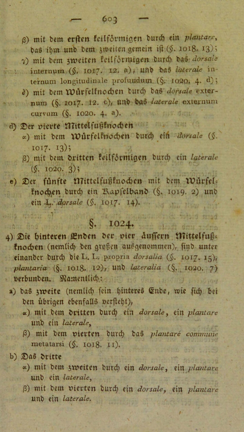 ba$ iljm unb bem jmciten gemein ift ($. 1018. i3)i 7) mit bem 3tveiten feilförmigen burd) baS dorsale inleruum (§. W1J. 12. a), unb ba$ laterale in- ternum longitudinale proluudutji (§. 1020. 4* 1 i) mit bem Würfelfnocbcn burd) baS dorsale exter- nura (§. 1017. 12. c), unb baä laterale extexnuni curvum (§. 1020. 4* a)> d) £)er vierte JHittclfußfnocfjen a) mit bem \X?iirfelftiocf>cti burd) eilt dorsale ($. 1017. 13); ß) mit bent brittcn feilförntigen burd) ein laterale (§. 1020. 3); e) 25er fünfte tlTittelfußfuocfccn mit bem VUürfcI; fncdjen burd) ein XUpfelbanb (§. 1019. 2) unb ein Jrf. dorsale (§, 1017. 14). §♦ IO24» 4) ®ie Hinteren lEnben bcr vier Juffern tlTittelfufc fnoeben (nemlid) ben großen ausgenommen), finb unter einanber burd) bieL. L. propria dorsalia (§. 1017. 15), plantaria (§. 1018. 12), unb lateralia (§. 1020. 7) oerbunben. Siamentlid).: a) ba§ sweitc (nemlid) fein t)intcreö (Snbe, wie ftd) bei ben übrigen ebenfalls ©erfleht), Bc) mit bem britten burd) ein dorsale, ein plantare Unb ein laterale, ß) mit bem vierten burd) ba§ plantare commune metatarsi ($. 1018. n). b) 25a§ britte «) mit bem ^weiten burd) ein dorsale, ein plantare unb ein laterale, ß) mit bem vierten burd) ein dorsale, ein plantare unb ein laterale.