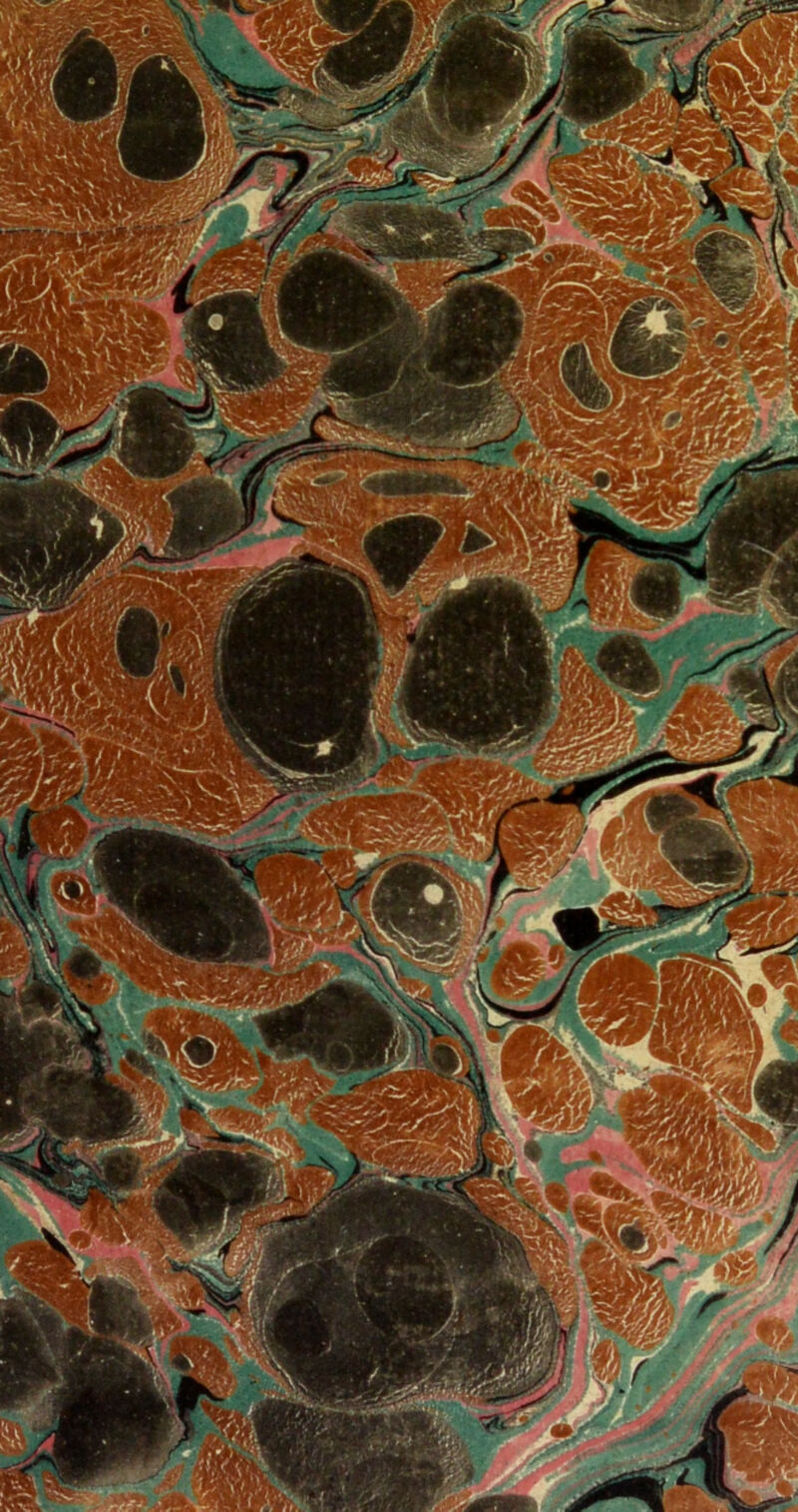 : ✓ ■ ■ > ■ \ \_; j ; • • rfrgk-X . V> # - 17™ m