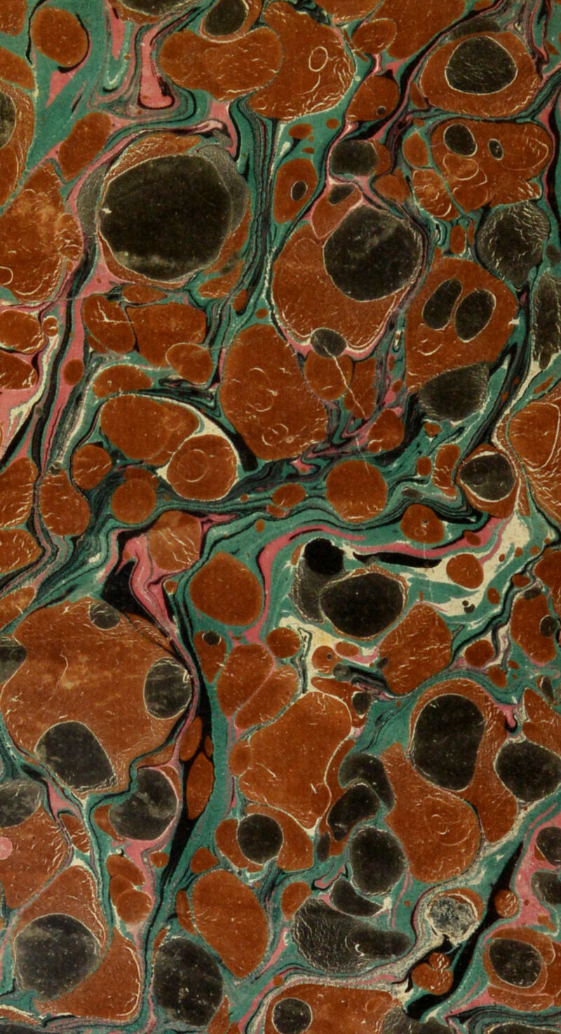 / ► */ '*iyrjy «K. < Wi Hl -t * >^i': ~- m Tywy ■. »■* Bft/W *WR$J