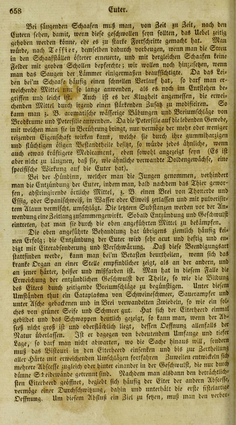 23ei fdttgenben Sdjaafen muß man, von 3eit 3« nad) ben gutem fetjen, bamit, wenn btefe gcfdjwollen fepn follten, ba« Uobel jeitig gehoben werben fonne, clje e« ju ftarfe gortfd)ritte gemad)t bat. 9Jlan würbe, und) Seffier, bemfetben babttrd) Vorbeugen, wenn man bie ©treu tn ben ©cbaafftdllen öfterer erneuerte, unb mit begleichen ©ebaafen ferne gelber mit groben @d)ollen bepferd)te; wir wollen nod) f)injitfe^en, wenn man ba« ©äugen ber,Kammer einigermaßen beauffid)tigte. Da ba« Sei* ben bei’m ©djaafe fjduftg einen fdjmllen SSerlauf l)at, fo barf man er- weidjenbe Mittel nur fo lange anwenben, al« e« nod) im gntffeben be* griffen unb leidjf ift. 2lud) ift e« bet Klugheit angemeffen, bie erweis djenben Mittel burd) irgenb einen ftdrfenben 3ufa£ ju mobifteiren. ©o fann man 3. SS. aromdtifebe wdfferige {Bähungen unb S3reiumfd)ldge von SSrobfrume unb ^eterfflie anwenben. Da bie *Peterfilie auf bie lebenben ©ewebe, mit weld)en man fie in 23etüf)tung bringt, nur vermöge ber mehr ober weniger retjenben gigenfd)aft wirfen fann, welche fte burd) ifjre ^gummitjarjigen unb fluditigen öligen SSeffanbtbeile befifct, fo würbe jebe« dl)nlid)e, wenn and) etwa« kräftigere SDtcbicament, eben fowol)l angejeigt fepn ifl aber nicht gu iditgnen, baß fte, wie dfjnlicfje verwanbte Dolbengewddjfe, eine fpeciftfdje SBirfung auf bie guter bot). {Bet ber £ünbinn, welcher man bie jungen genommen, verbinbert man bie gntjünbung bet guter, inbem man, halb naebbem ba« Sbier gewor- fen, abftringirenbe örtliche Spittel, j. SS. einen S3rei von Sboncrbe unb gfftg, ober ©panifd)Weiß, in SQkffer ober giweiß jerlaffen unb mit pulverifir* tem 2llaun vermifd)t, umfcbldgt. Die [extern ©ubftanjert werben vor bet 2fn* Wenbung eine ßeitlang jufammengewirft. ©obalb gnt^ünbung unb ©efcbwulfl eintreten, bat man fte burd) bie oben angeführten Mittel jit befdmpfen. Die oben angeführte SSebanbtung bat übrigen« jiemlid) häufig fei* nen ©rfolg; bie gntjünbung ber guter wirb febr acut unb heftig «nb eit* btgt mit giterabfonberung unb SSerfdjwarung. Daß biefe 35eenbigung«art ftattftnben werbe, fann man bei’m SSetafien beurteilen, wenn fid) ba« franfe Drgan an einer ©teile empftnbftcbet geigt, al« an ber anbern, unb an jener harter, beiß« unb mißfarben ift. Sftan bat in biefem gälte bie grweid)ung ber entgünblicben ©efdjwuljt ber Sbetle, fo wie bie SSilbuttg be« giter« burd) geitigenbe SSreiumfdjldge ju begünstigen. Unter biefem Umftanben tl)ut ein gatapla«ma von ©d)Weinefd)meer, ©auerampfer unb unter Tffche gebaefenen unb in SSrei verwanbelten Zwiebeln, fo wie ein fol* d)e« von grüner ©eife unb ©cbmeer gut. 4>at fid) ber giterbeerb einmal gebilbet unb ba« ©d)tvappen beutlid) gegeigt, fo fann man, wenn ber 21b- feeß nicht groß ift unb oberflächlich liegt, beffen Deffnung allenfalls ber Statur überlaffen. Sft er bagegen von bebeutenbem Umfange unb tiefer Sage, fo barf man nid)t abwarten, wo bie ©ad)e hinan« will, fenbern muß ba« S3iftouri in ben giterbeerb einfenfen unb bi« jttr 3crtl)eiltma aller dpdrtc mit ermeicbenben Umfd)ldgen fortfabren 3uweilen entwicfeln fid) mehrere 2(bfceffe gugleid) ober hinter einanber in ber ©efdjwulft, bie nur burd) bünne ©deibewdnbe getrennt finb. 9tad)bem man al«bantt ben beträchtlich* ften giterbeerb geöffnet, begiebt fiel) häufig ber giter ber anbern 3tbfceffe, vermöge einer Durcbfdjwifcung, bal)in unb unterhalt bie erfte fiflelarttge Deffnung. Um biefem Abfluß ein 3iel ju fefccn, muß man ben verbot*