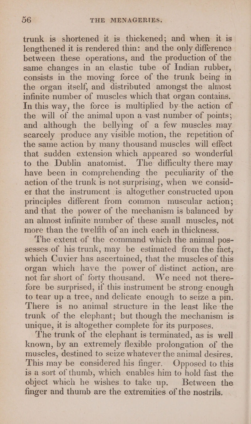 trunk is shortened it is thickened; and when it is lengthened it is rendered thin: and the only difference between these operations, and the production of the same changes in an elastic tube of Indian rubber, consists in the moving force of the trunk being im the organ itself, and distributed amongst the almost infinite number of muscles which that organ contains. In this way, the force is multiplied by-the action of the will of the animal upon a vast number of points; and although the bellying of a few muscles may scarcely produce any visible motion, the repetition of the same action by many thousand muscles will effect that sudden extension which appeared so wonderful to the Dublin anatomist. The difficulty there may have been in comprehending the peculiarity of the action of the trunk is not surprismg, when we consid- er that the instrument is altogether constructed upon principles different from common muscular action; _ and that the power of the mechanism is balanced by an almost infinite number of these small muscles, not more than the twelfth of an inch each in thickness. ‘The extent of the command which the animal pos- sesses of his trunk, may be estimated from the fact, which Cuvier has ascertained, that the muscles of this organ which have the power of distinct action, are not far short of forty thousand. We need not there- fore be surprised, if this instrument be strong enough to tear up.a tree, and delicate enough to seize a pin. There is no animal structure in the least like the trunk of the elephant; but though the mechanism is unique, it is altogether complete for its purposes. The trunk of the elephant is terminated, as is well known, by an extremely flexible prolongation of the muscles, destined to seize whatever the animal desires. This may be considered his finger. Opposed to this is a sort of thumb, which. enables him to hold fast the object which he wishes to take up. Between the finger and thumb are the extremities of the nostrils.