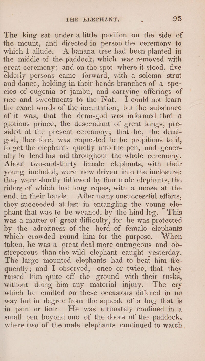 The king sat under a little pavilion on the side of the mount, and directed in person the ceremony to which I allude. A banana tree had been planted in the middle of the paddock, which was removed with great ceremony; and on the spot where it stood, five elderly persons came forward, with a solemn strut and dance, holding in their hands branches of a spe- cies of eugenia or jambu, and carrying offerings of rice and sweetmeats to the Nat. I could not learn the exact words of the incantation; but the substance of it was, that the demi-god was informed that a glorious prince, the descendant of great kings, pre- sided at the present ceremony; that he, the demi- god, therefore, was requested to be propitious tovit, to get the elephants quietly into the pen, and gener- ally to lend his aid throughout the whole ceremony. About two-and-thirty female elephants, with their young included, were now driven into the inclosure: they were shortly followed by four male elephants, the riders of which had long ropes, with a noose at the end, in their hands. After many unsuccessful efforts, they succeeded at last in entangling the young ele- phant that was to be weaned, by the hind leg. ‘This was a matter of great difficulty, for he was protected by the adroitness of the herd of female elephants which crowded round him for the purpose. When taken, he was a great deal more outrageous and ob- streperous than the wild elephant caught yesterday. The large mounted elephants had to beat him fre- quently; and I observed, once or twice, that they raised him quite off the ground with their tusks, without doing him any material injury. The cry which he emitted on these occasions differed in no way but in degree from the squeak of a hog that is in pain or fear. He was ultimately confined in a small pen beyond one of the doors of the paddock, where two of the male elephants continued to watch ,