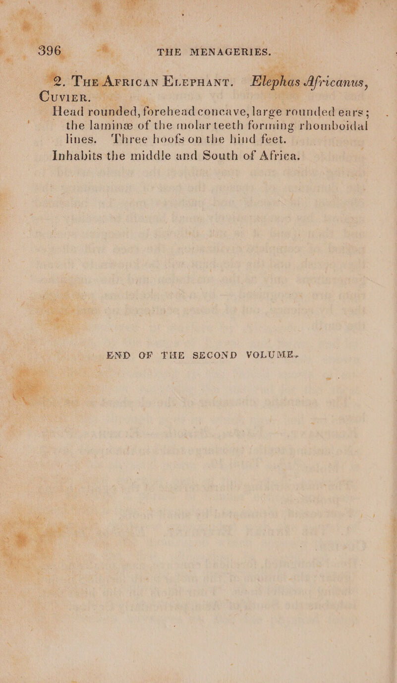 PRICAN Puree he: Sj tess unc ba, Pkolreadicwuahvel lars nunded ears; the laminze of the molar teeth forming rhomboidal lines. Three hoofs on the hind feet. Inhabits the middle and South of Afriea. i] END OF FHE SECOND VOLUME.