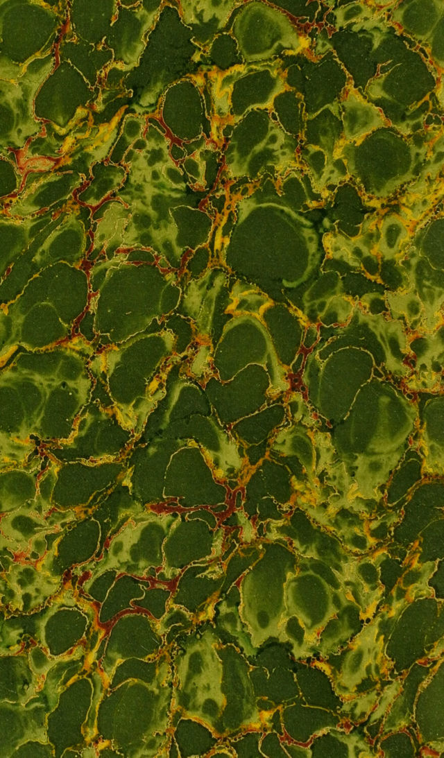 No text description is available for this image