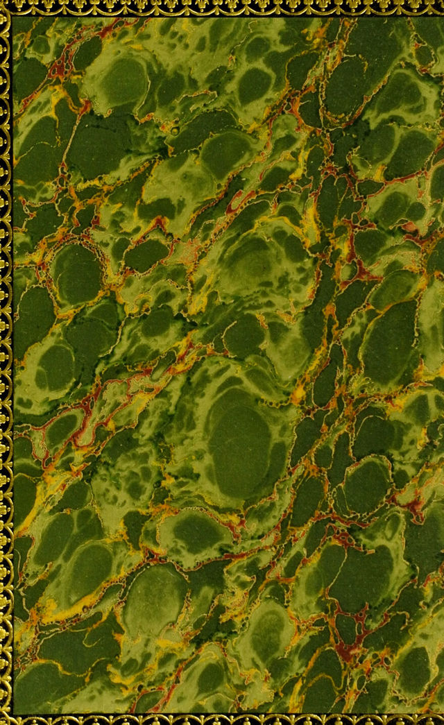 digitised image 2