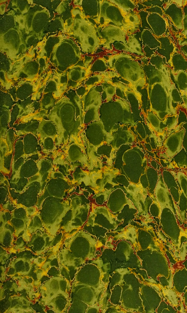 digitised image 3