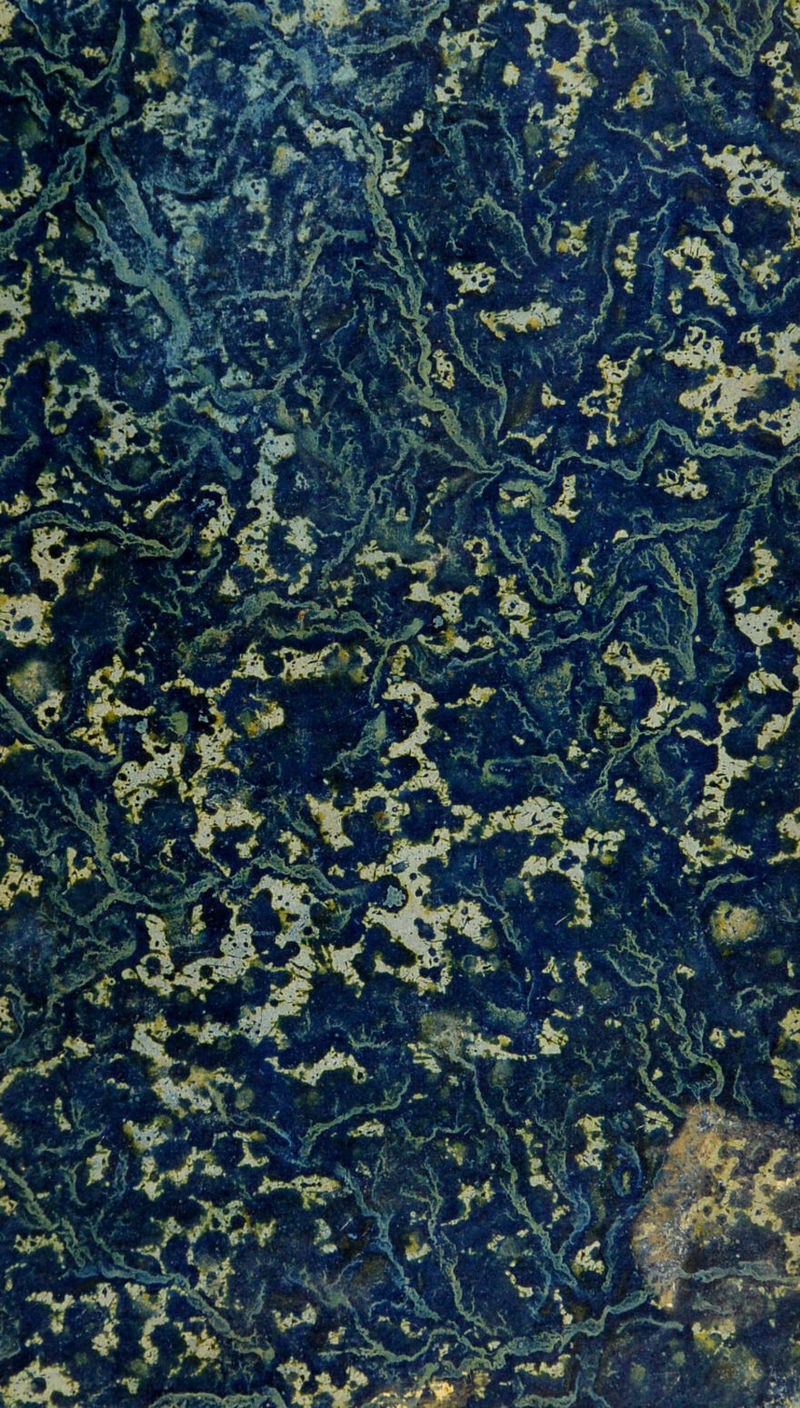 ’v TSVfj -m %:vM Jl ♦*■ W gPji rT