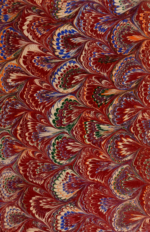 No text description is available for this image