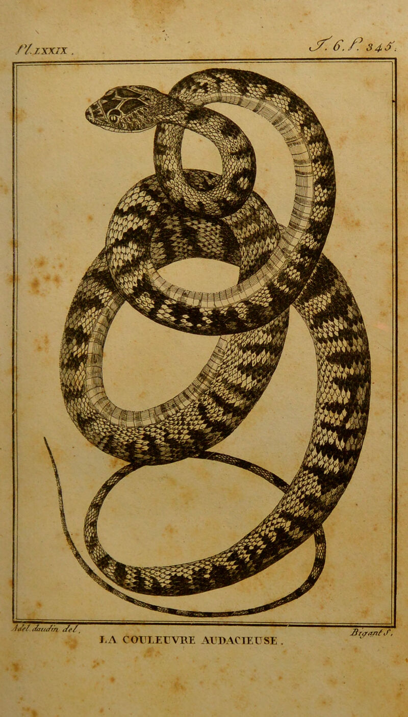 /Y,xxxix !ae/ iizi<t/rn Je/ Ii A C OIT LE U VUE AUDACIEUSE Hr^anf J,