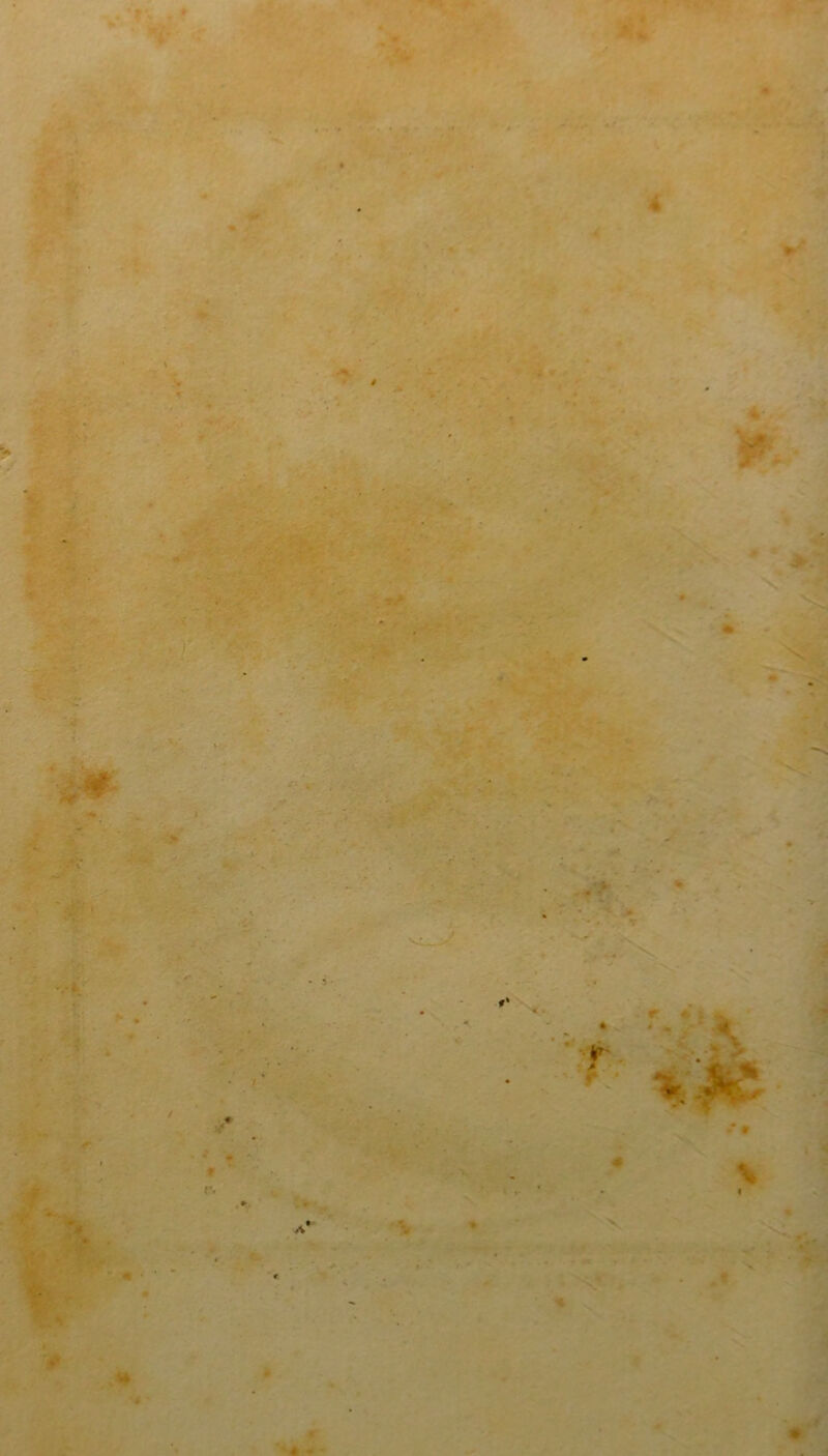 4 V • • K / f c» A + * I % *4 « «