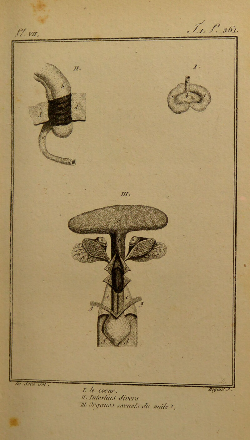 ty. vu. y.y. f*. n(u. w. Vo 't'ere i/of. M/i/ay/,', T. /c cocar. If. Jnfc.r/ur.f t/rnc/'J ./// i>n/ir//c,i .ravuc/o </£/ aur/c }. « y