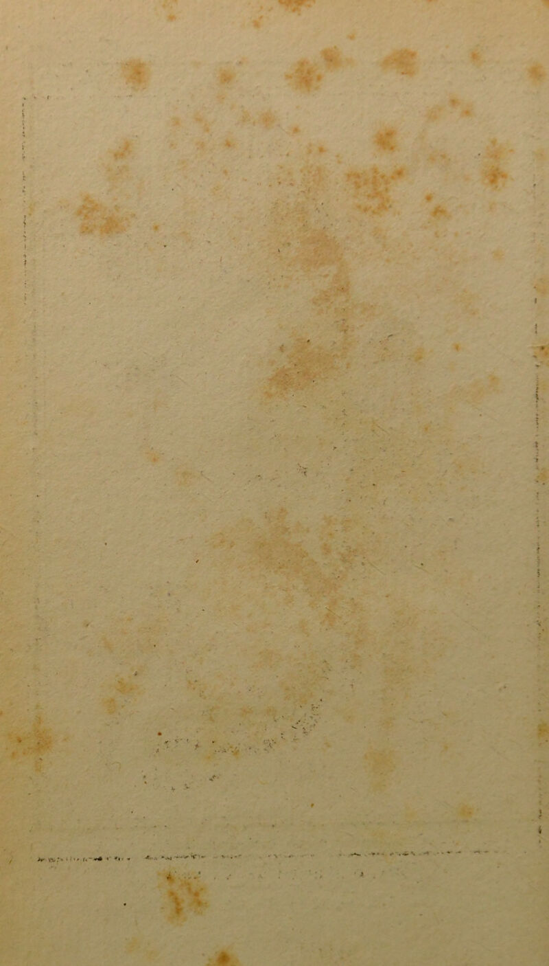 .1 *■ v n,.*' 1 • » r« -«*#«■*«• •* 4...-. V1 - * l f 5 *