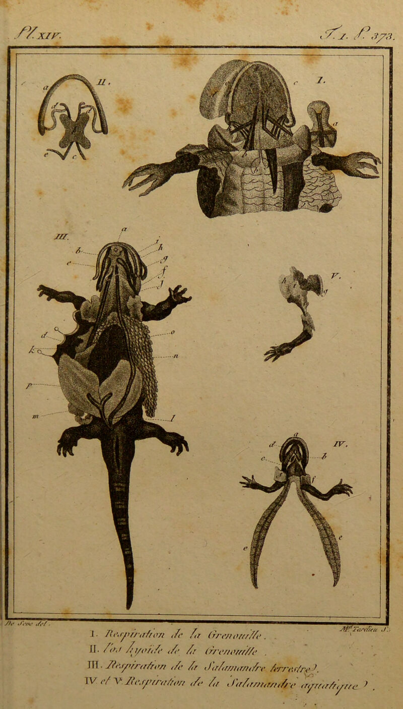 ' A J. /? ,173 i . fVxzr. J. 071 </c Ar (rrc/i or/rAAe II. /<>,< Ai/tût/t’ /,r (rrc/touf/A' At?Ttzrtfttu ./ JZZ. III. I?e,iy>frtr/n>7i ,A> A<r J<r/twnr/it/re Avv<\r//<>A