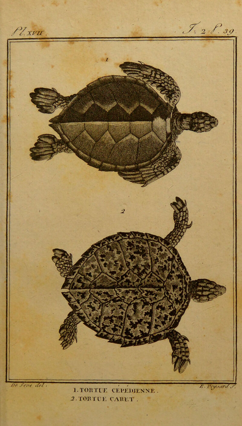 /V.XFTC. 2 /■ J 1. T OH TL'fl CE VJÎ1 VIENNE 2. TOU T UE CA1U. T . £ ■ Voyxiirrtf