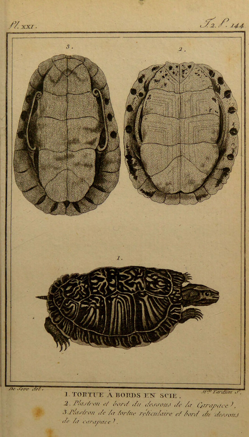 YY. XXI 144 7ZT. /V .><VV >rrr.tnfarr </'. J TOKTTTE ABOBDS E'N SCIE . 2. Pfao'/roH <*/ /><>/</ i/rr </<•,>',)■(>//,! (/(• /,/ CjT/'iintfce ), 3-P/ro’/fwi t/c Ar for fat* rcArcnAirre eS /or<f </u <A\i\rouj </<’ Air firrannce P