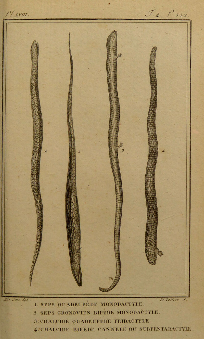 1. SEPS QUADRUPEDE MONODACTYLE. 2 SEl’S GU ON O VIE N BIPEDE MONODACTYLE. ,2 . C1IALC IDE QUADRUPEDE TRI DACTYLE . 4‘CIIALC1DE lilPEDE CANNELE OU SERPENTAI)AC1YIE.