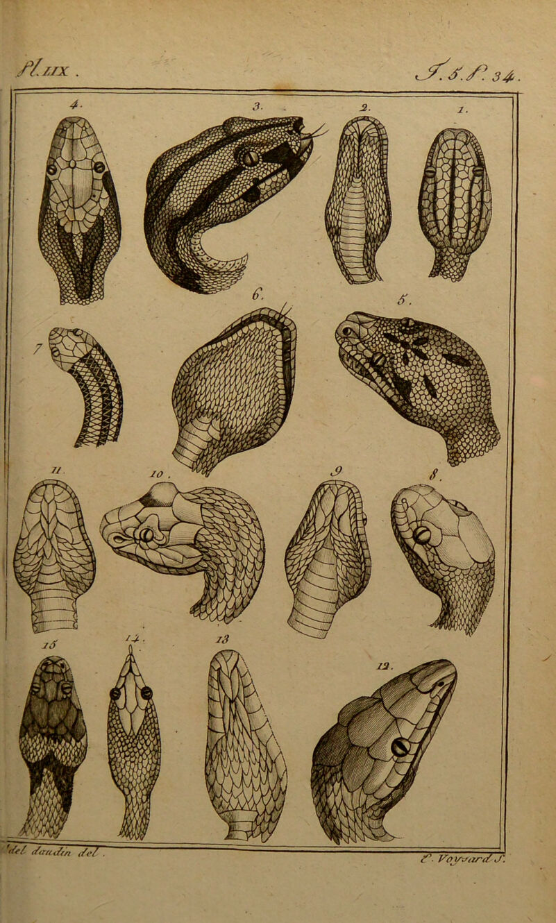 f/.HX . f \ Voj/.'tin/ J'.