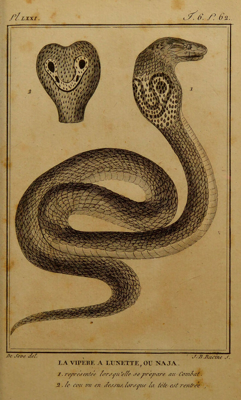 LA VIPEHE A LXTTŒTTE; OU NAJA. 1. reprose/ifee forotni'e/fc ne préparé au Com/>at.