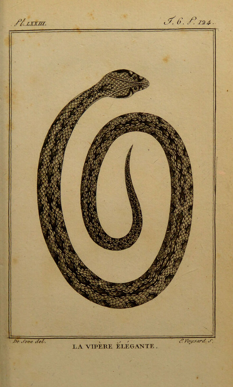 LA VIPERE ELEGANTE . 7)e iCeve <-/<?/, <4. Vbyxiti/'ti J.