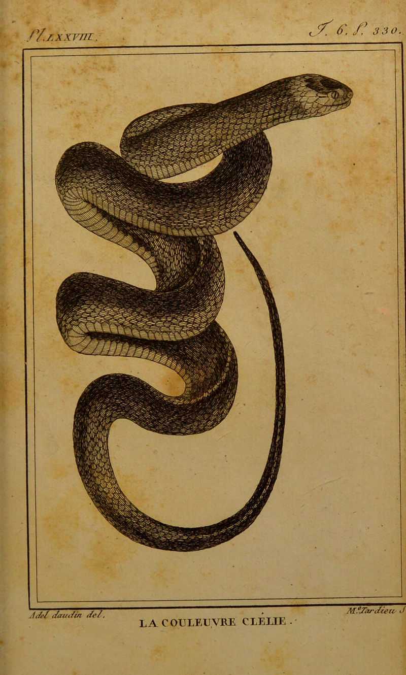 //.ZXXTTTL. 3 30. L Ac/el t/aut/in t/c/. M/Jorc/tetl- 3 LA COULEUVRE CLELIE