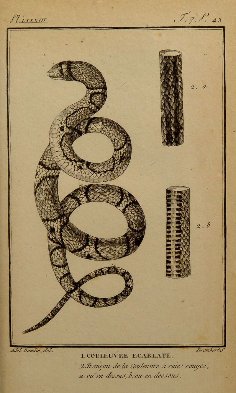2. Tr crue cm de /r Cott/euare à nue J rauycj, a. im en ife<rsuJ,i.vu en de j son J.