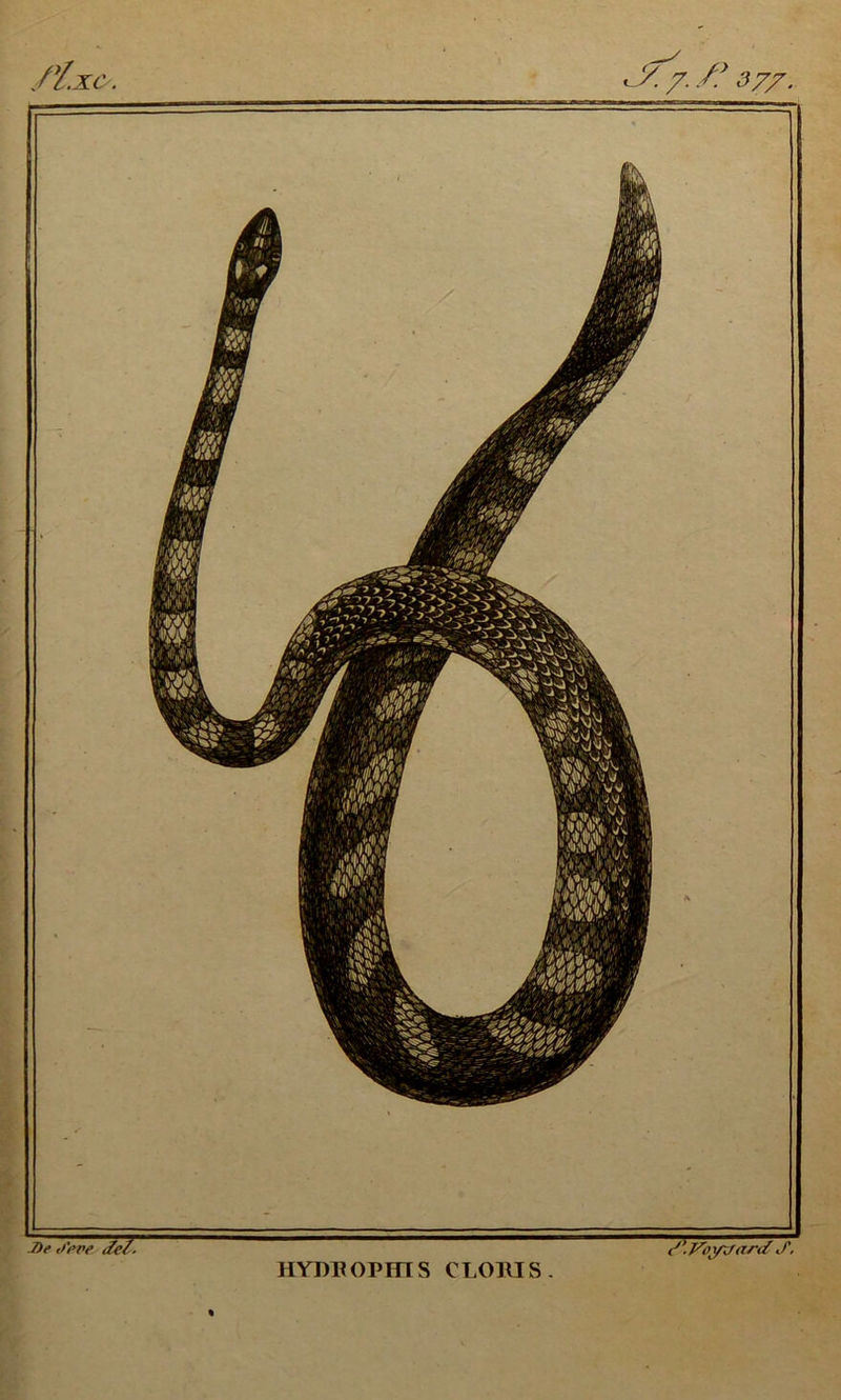 HYDIiOPFTIS CLOUIS.