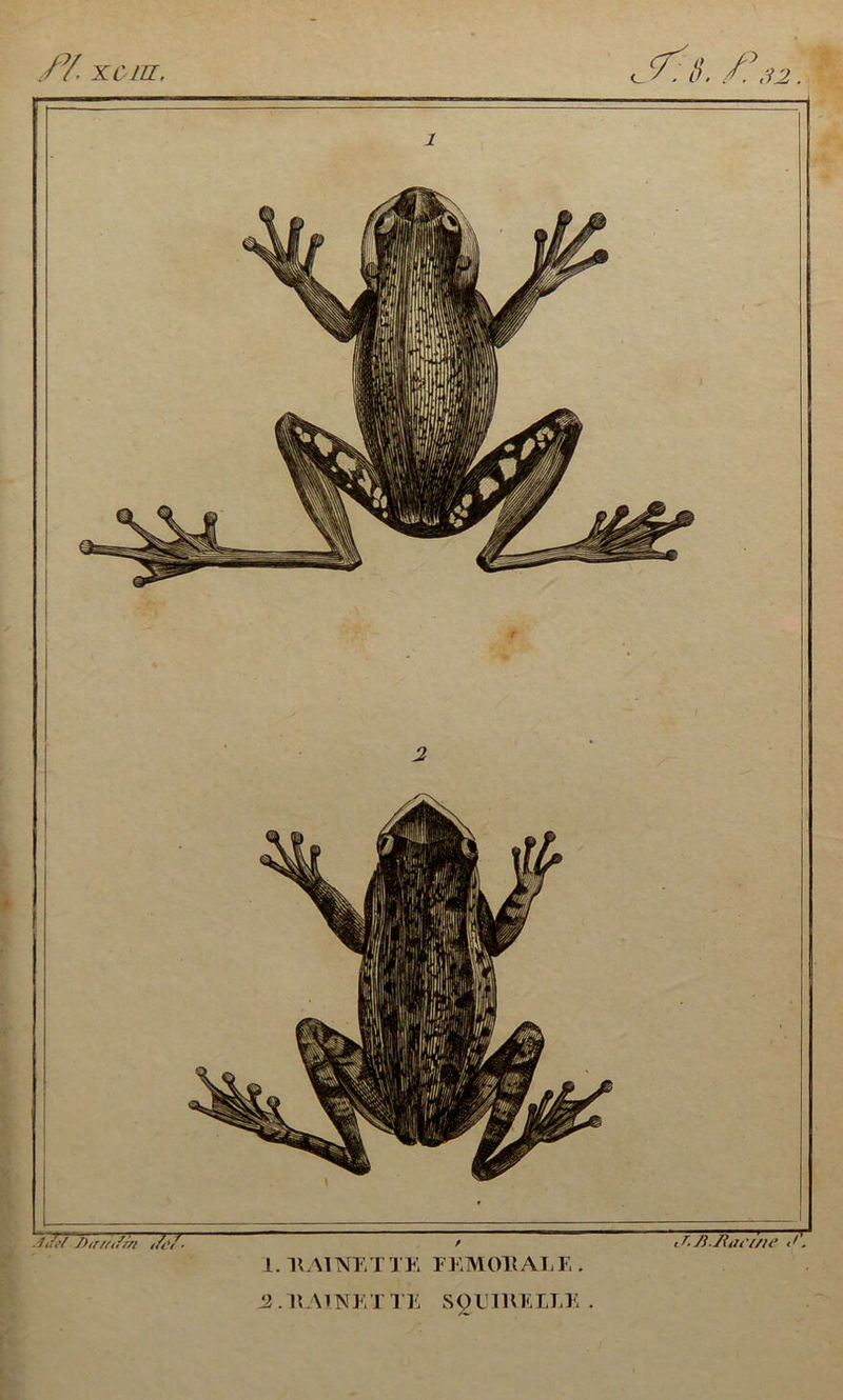 JY- XC'MZ. ÿl,S. /y,u. <’/ S)trui/m i/i'/■ , r. /Utiii i/u’ <>. 1. HAINE T TE FEMOltALF,. Æ.HAl.NETTE SgUIKEILE .