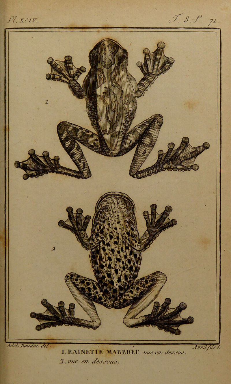 Z9/ x r/r. <. y. S. : Aaei JAm/j/n (fc/ * 1. BAITOTTE MA1\BKEE vue en dej'j/ui. 2. vue e/i i/e<rsouJ, yl l>ri/ft/<> s.