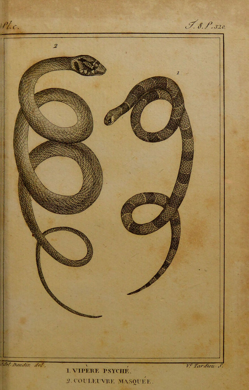 S. f*. 32a. 'tfrf. ,/cf, 1. VI PEU y, PSYCHE. Vf Tartfreri 2. COUM.l'VllE MASOl'i: V..